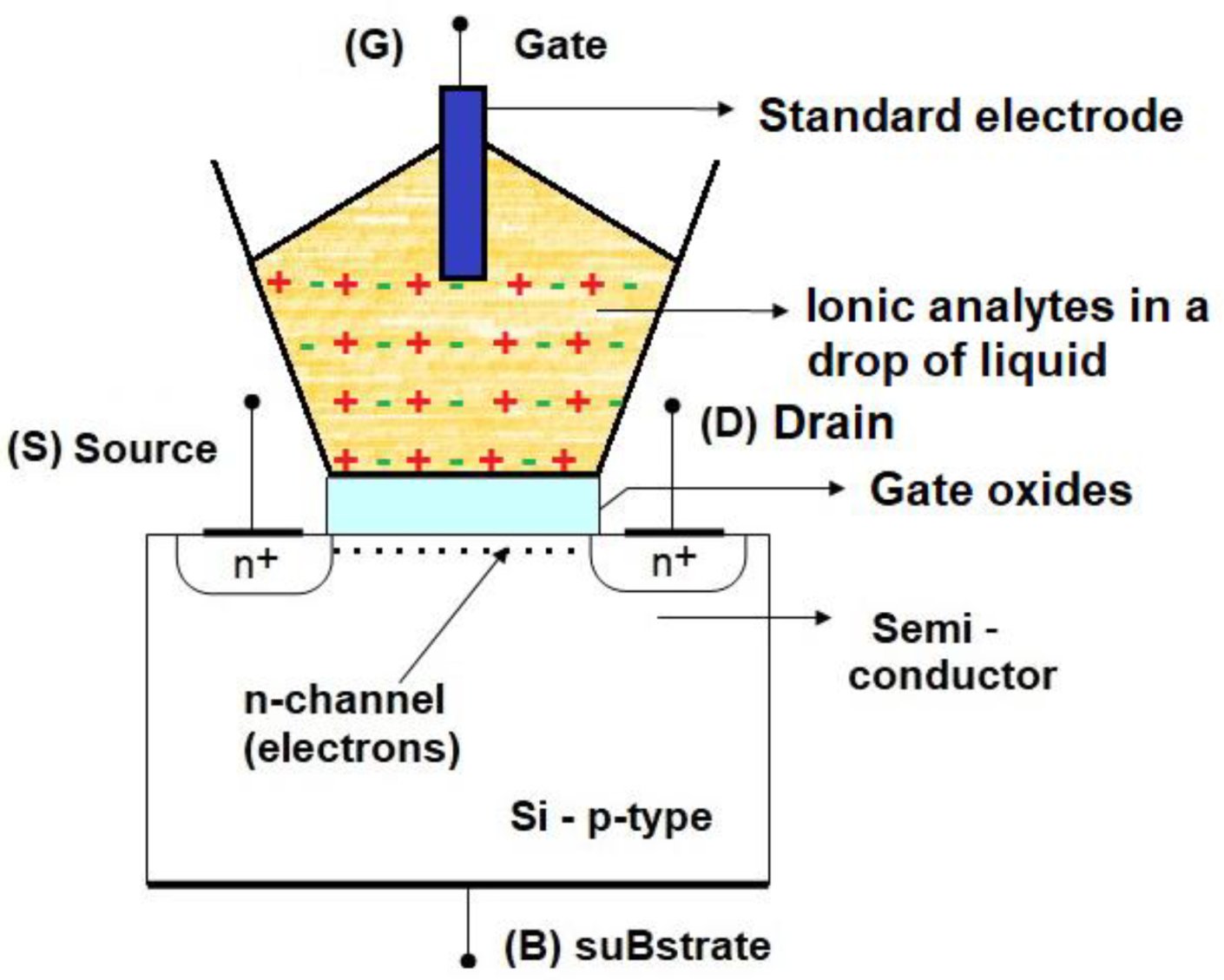 Preprints 167672 g001