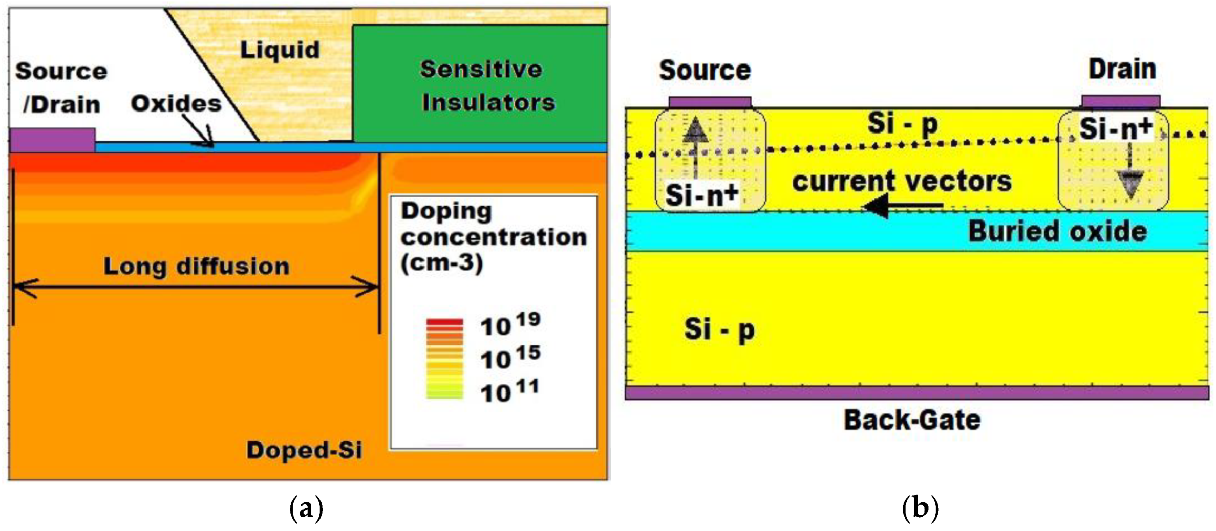 Preprints 167672 g003