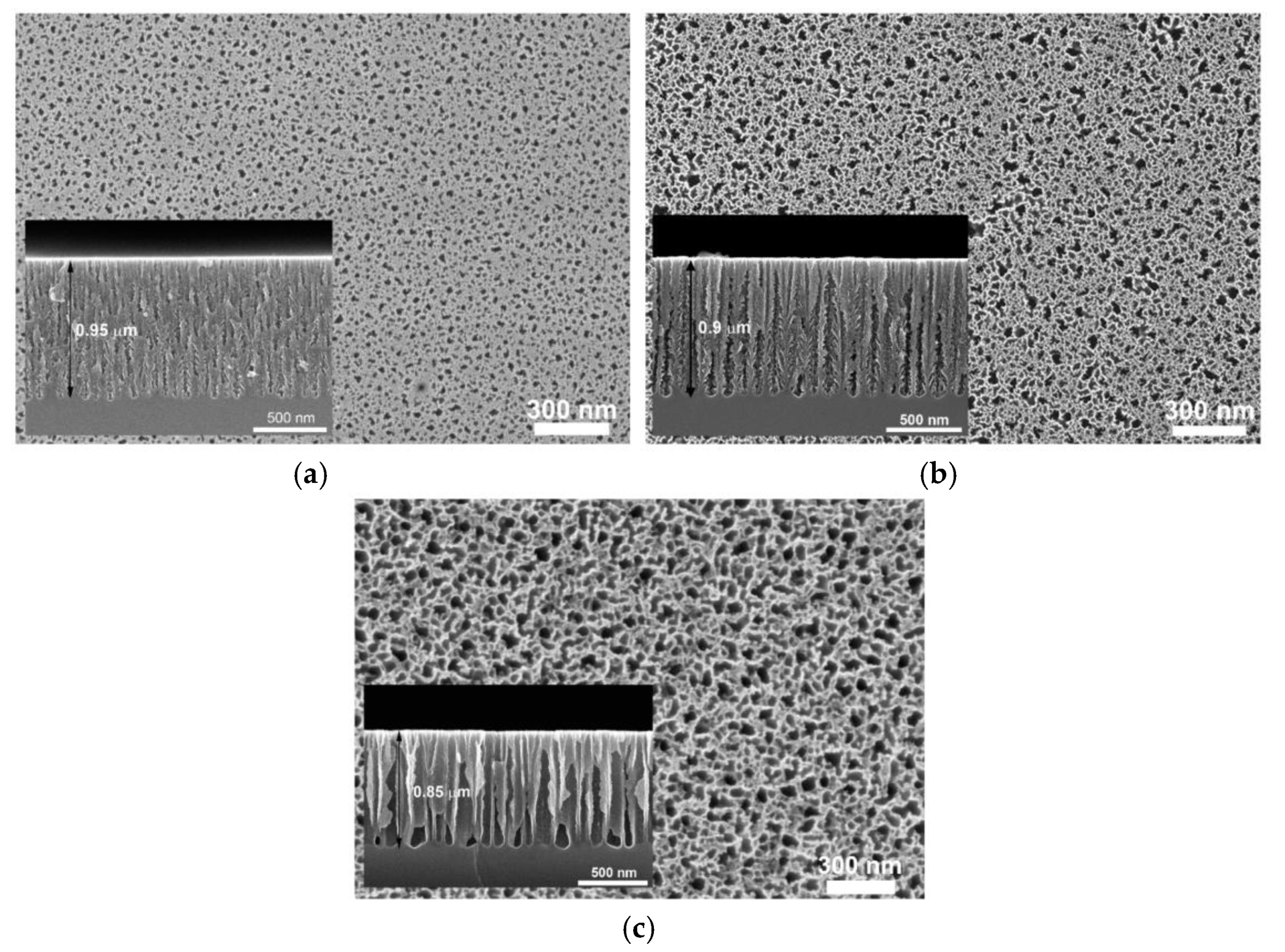 Preprints 167672 g004