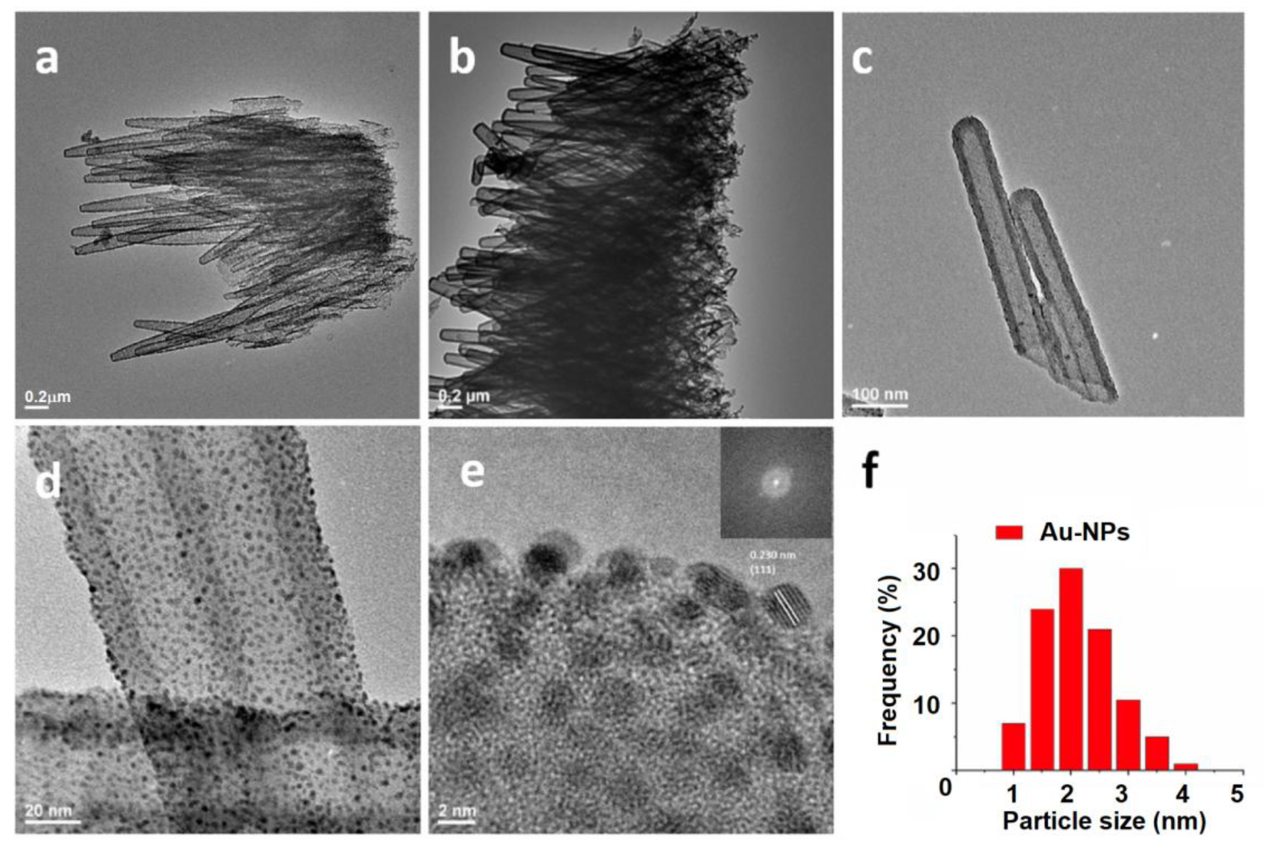 Preprints 167672 g007