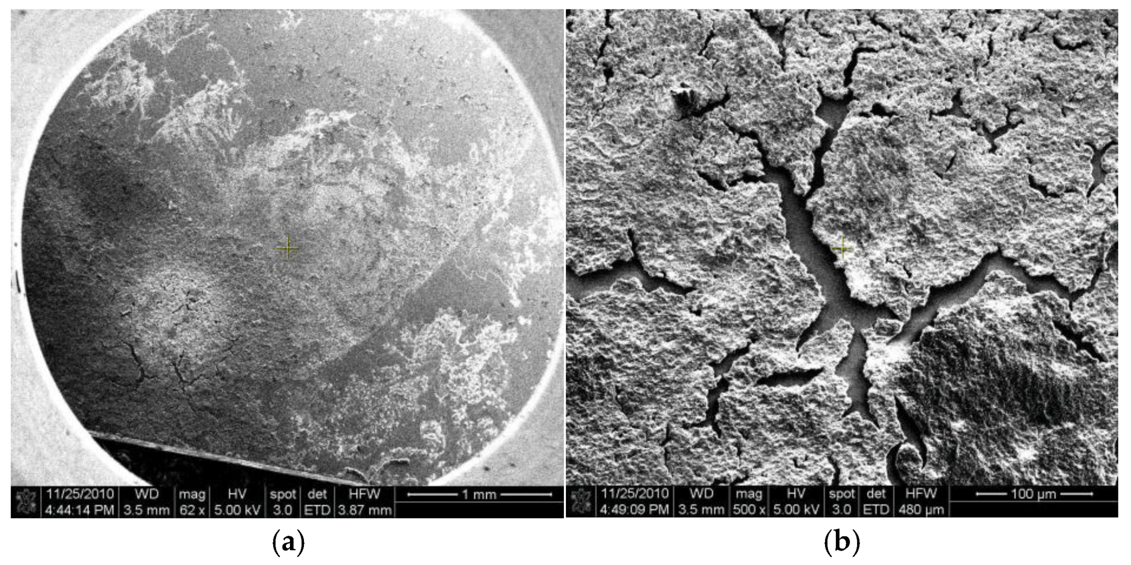 Preprints 167672 g010