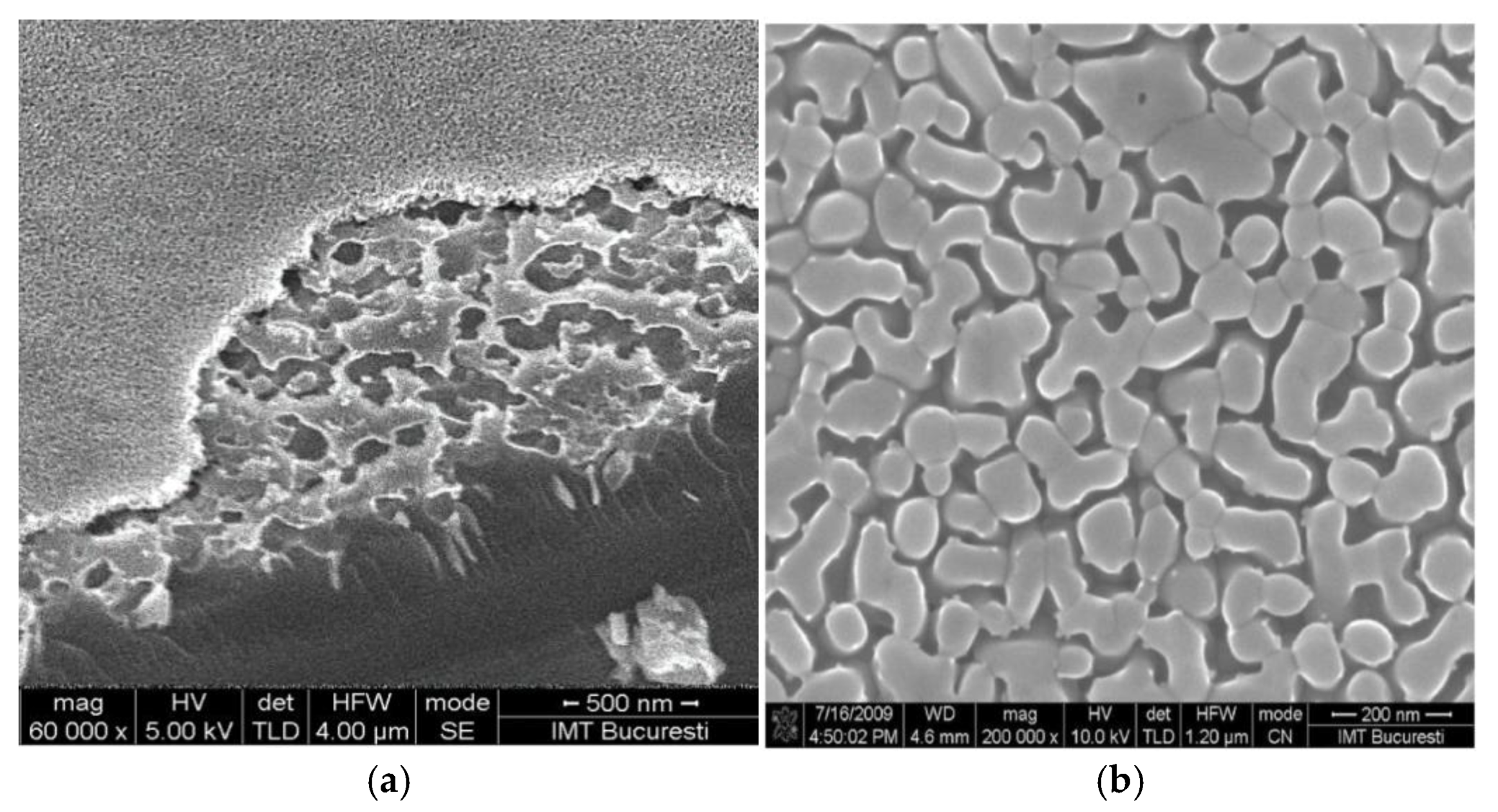 Preprints 167672 g013