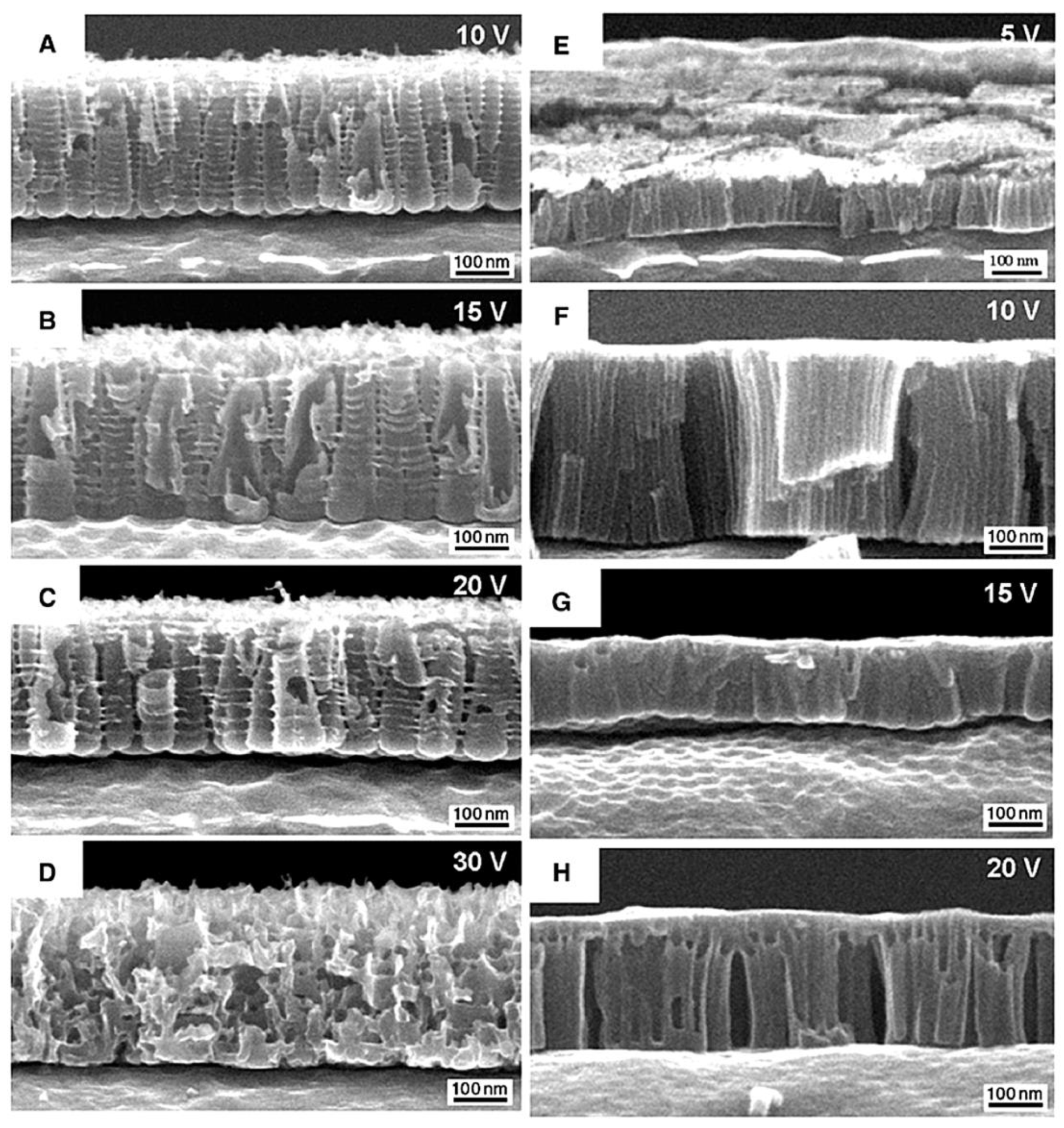 Preprints 167672 g014