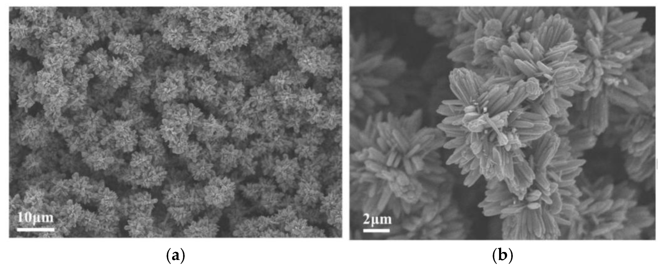 Preprints 167672 g015