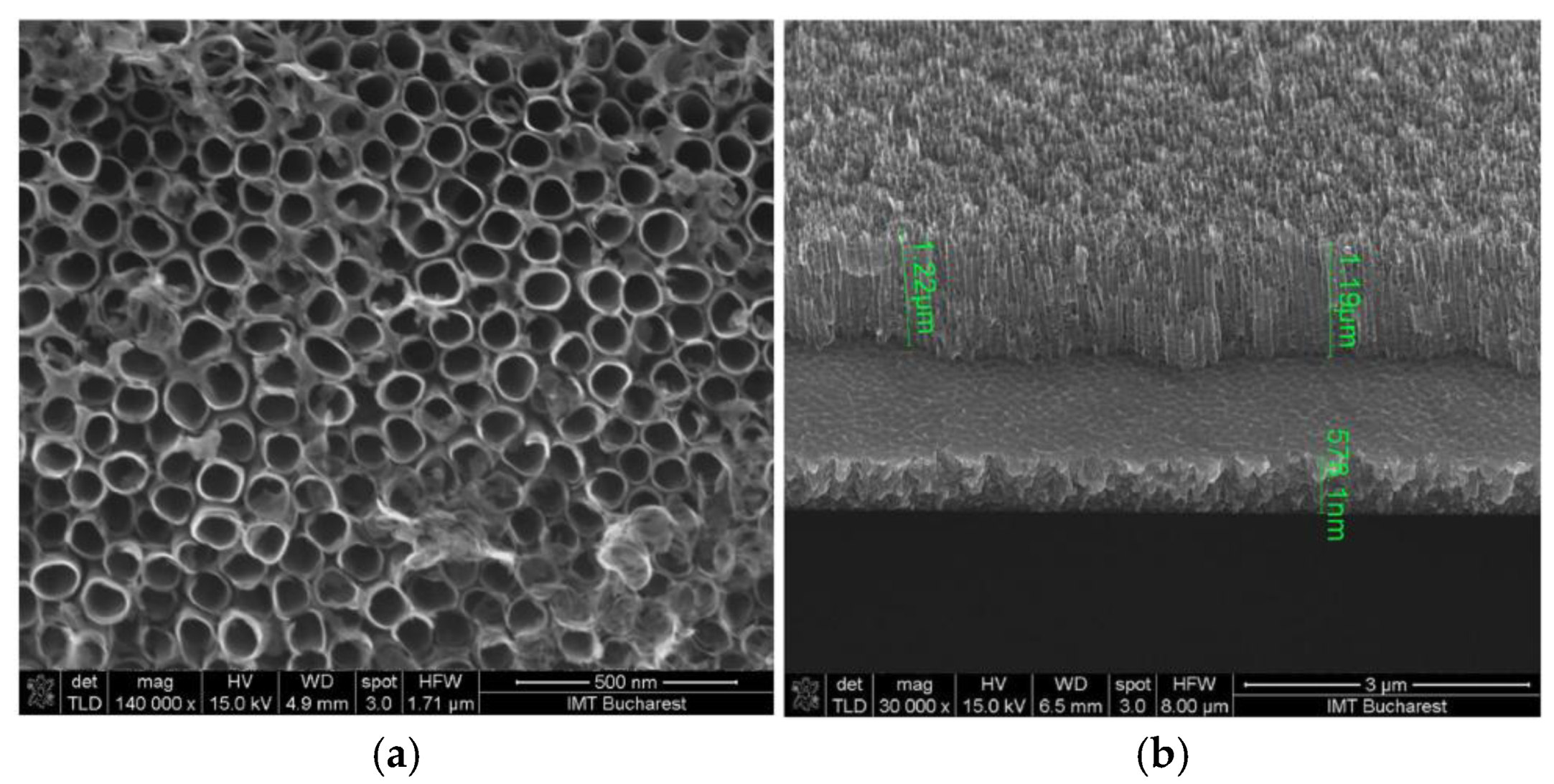 Preprints 167672 g016