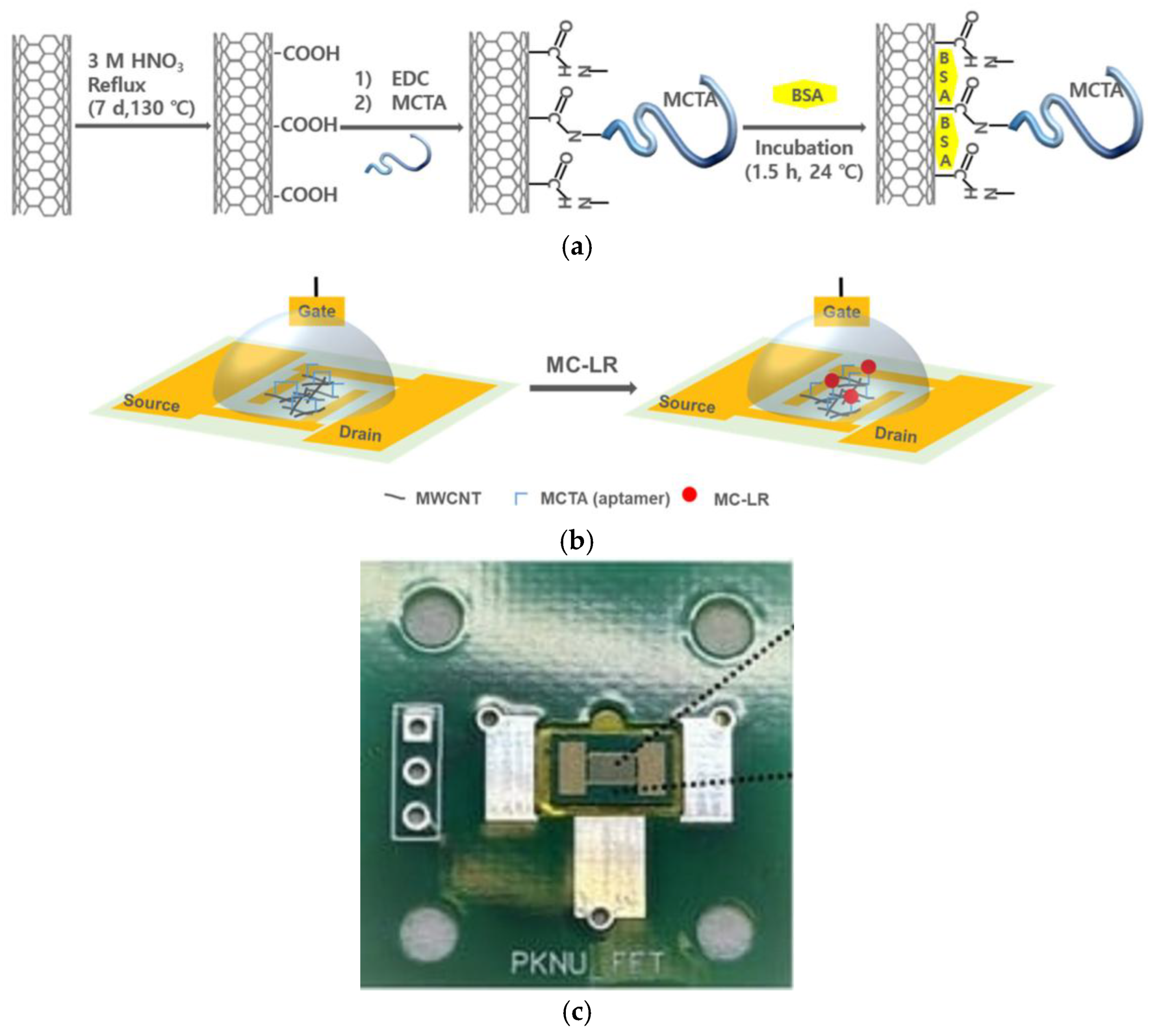 Preprints 167672 g017a