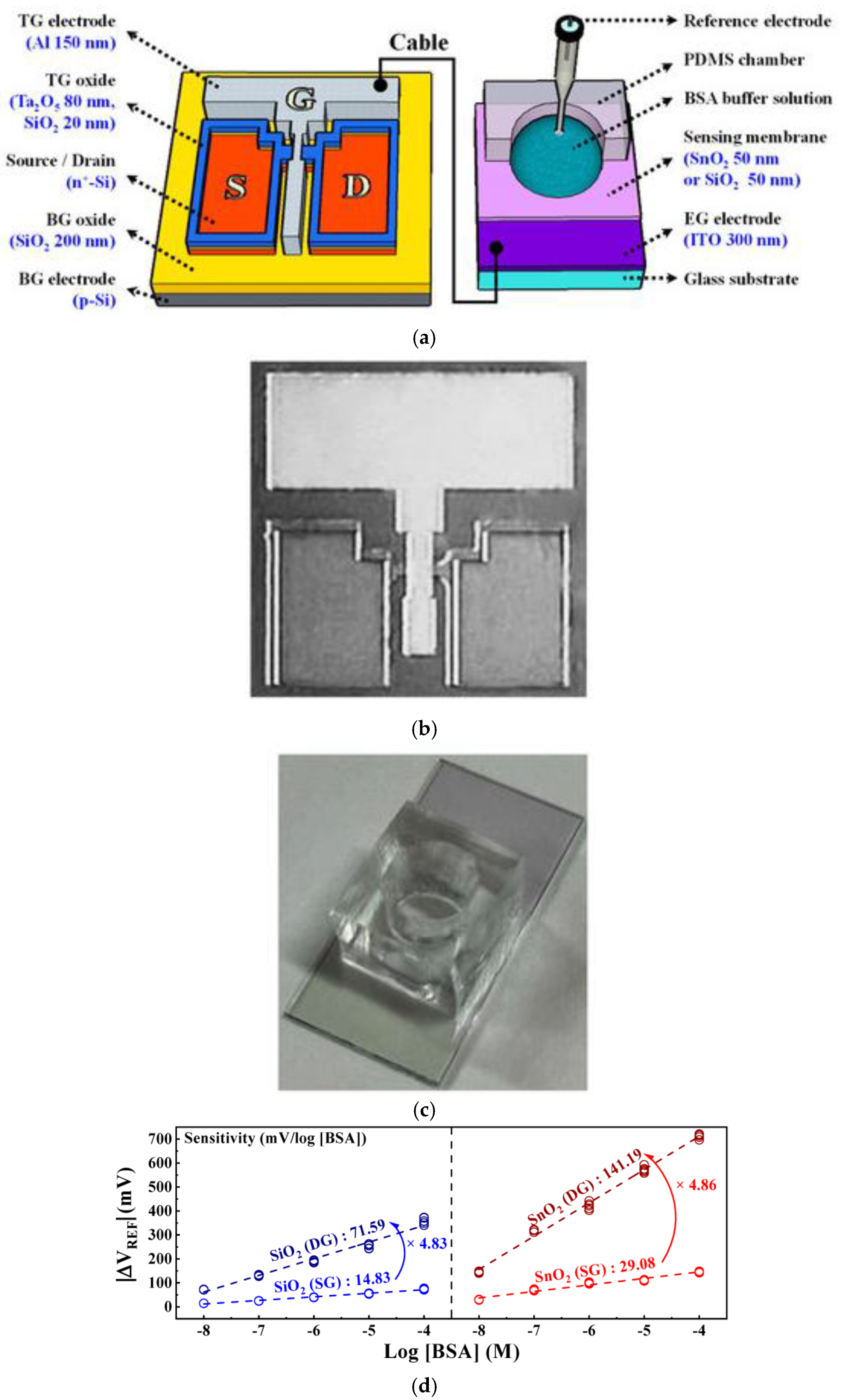 Preprints 167672 g018