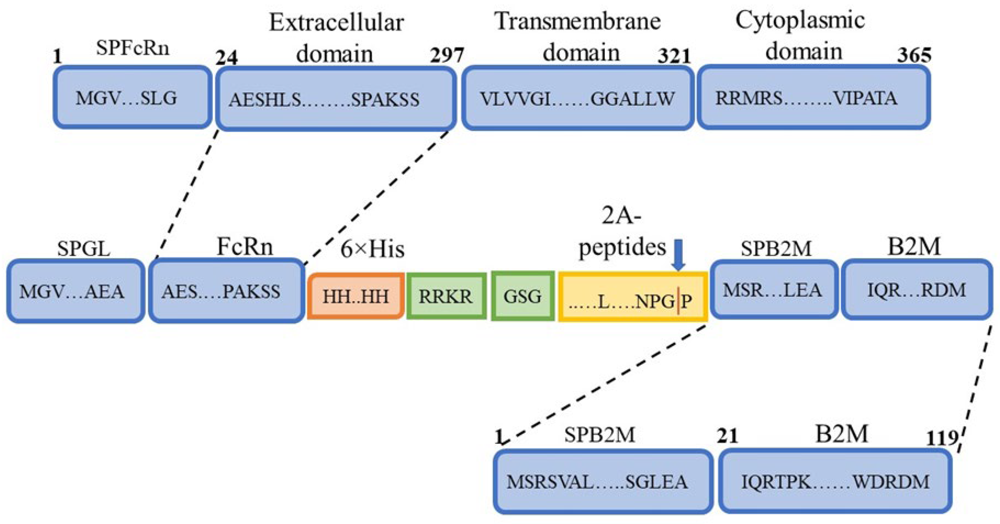 Preprints 181573 g001