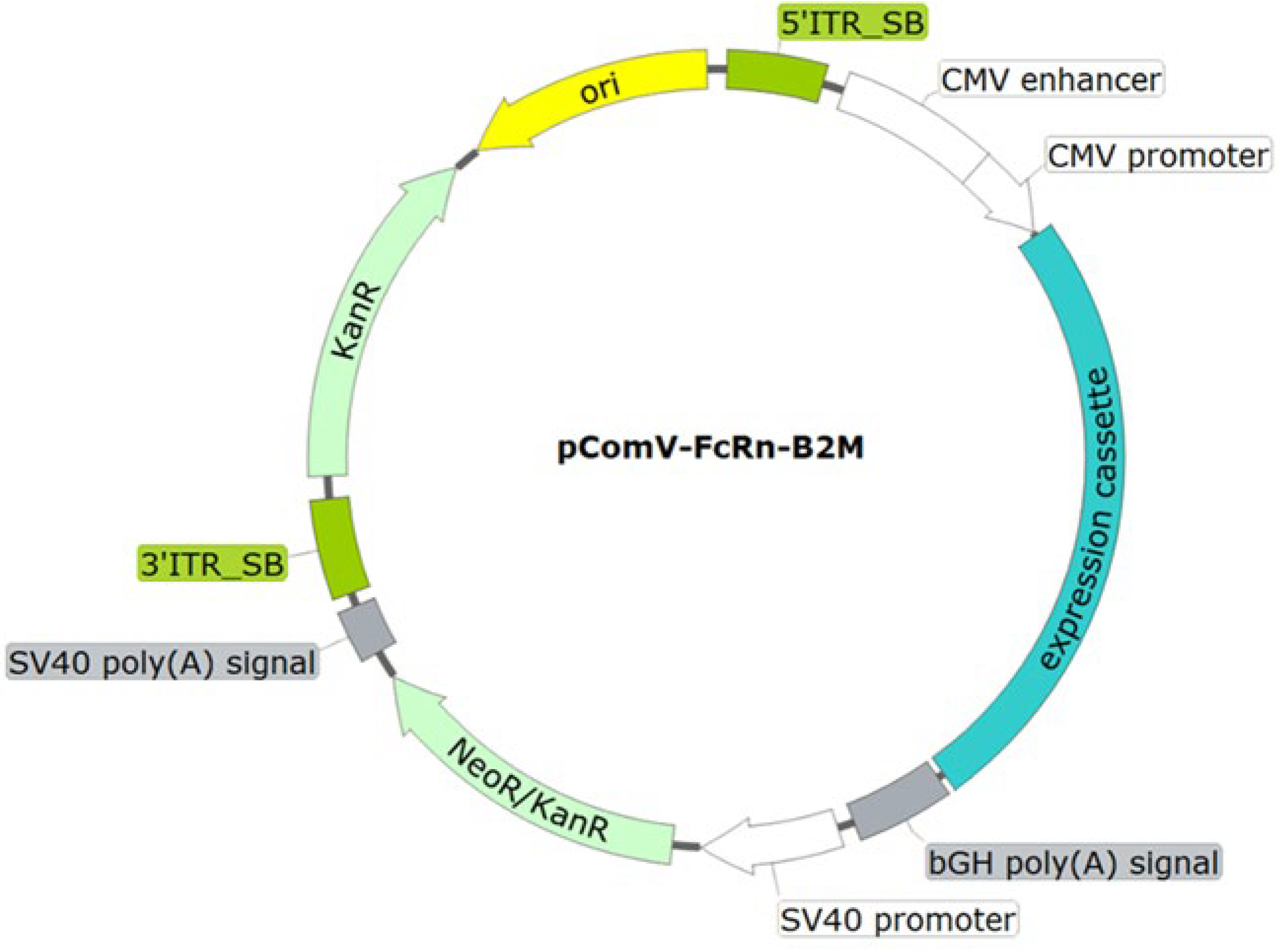 Preprints 181573 g002