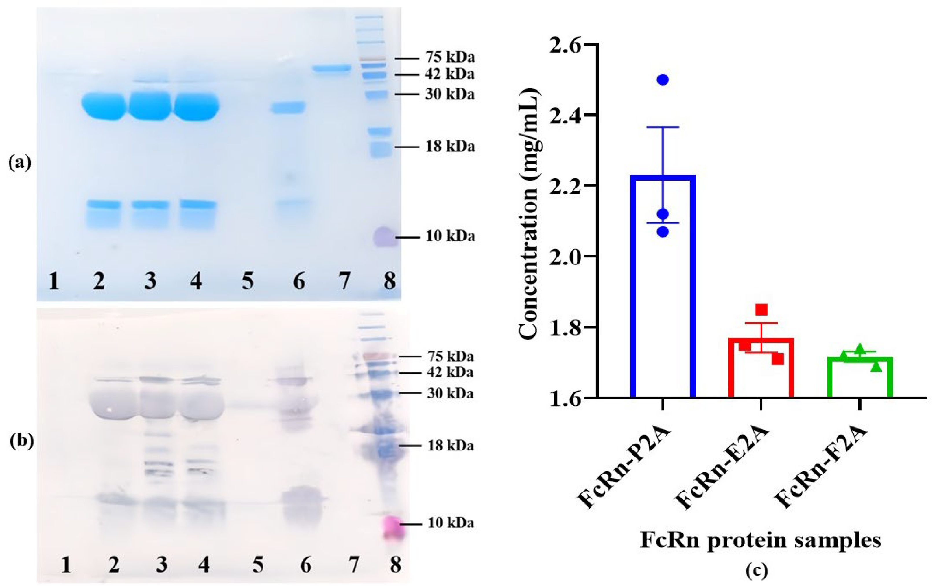 Preprints 181573 g003