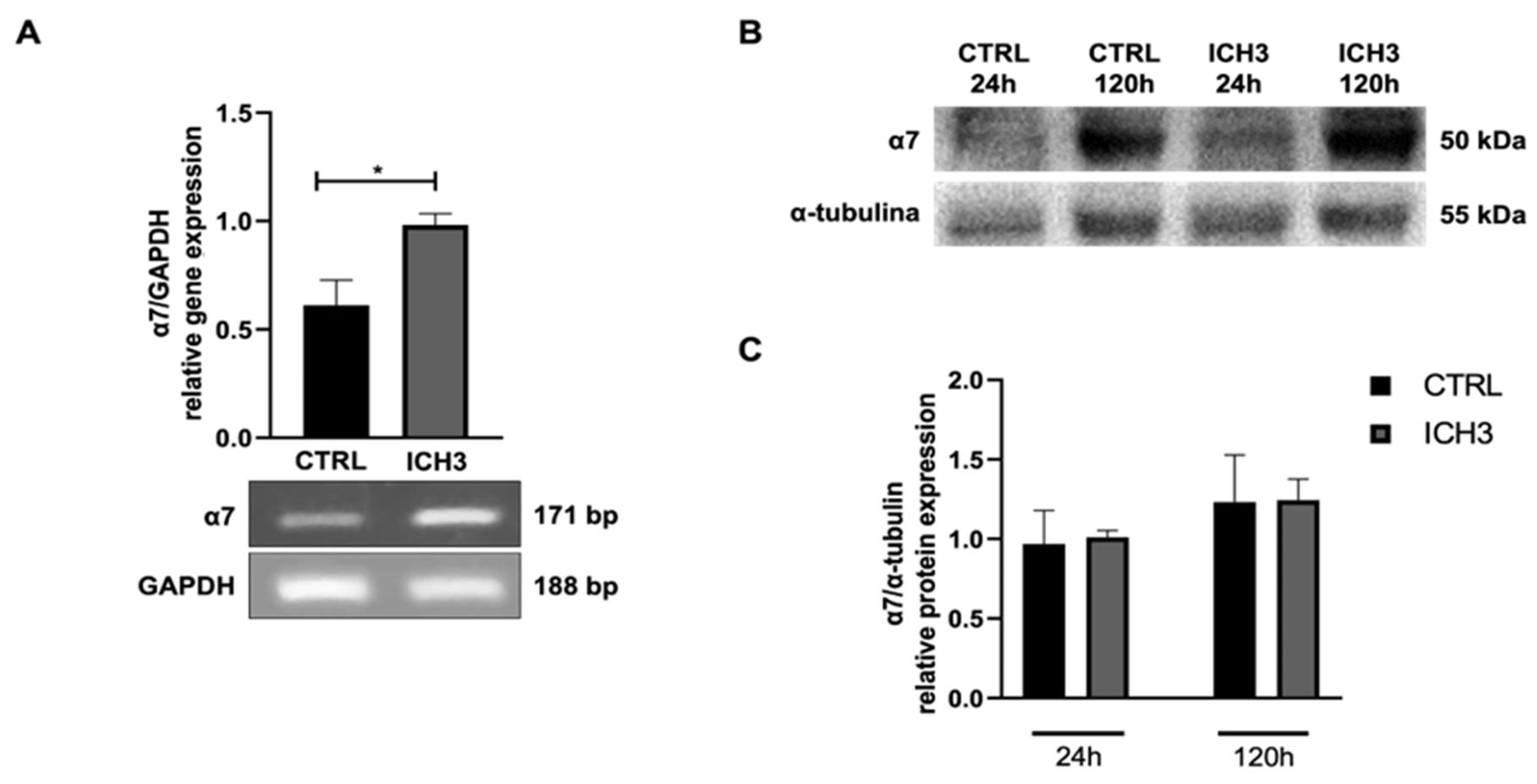 Preprints 145988 g001