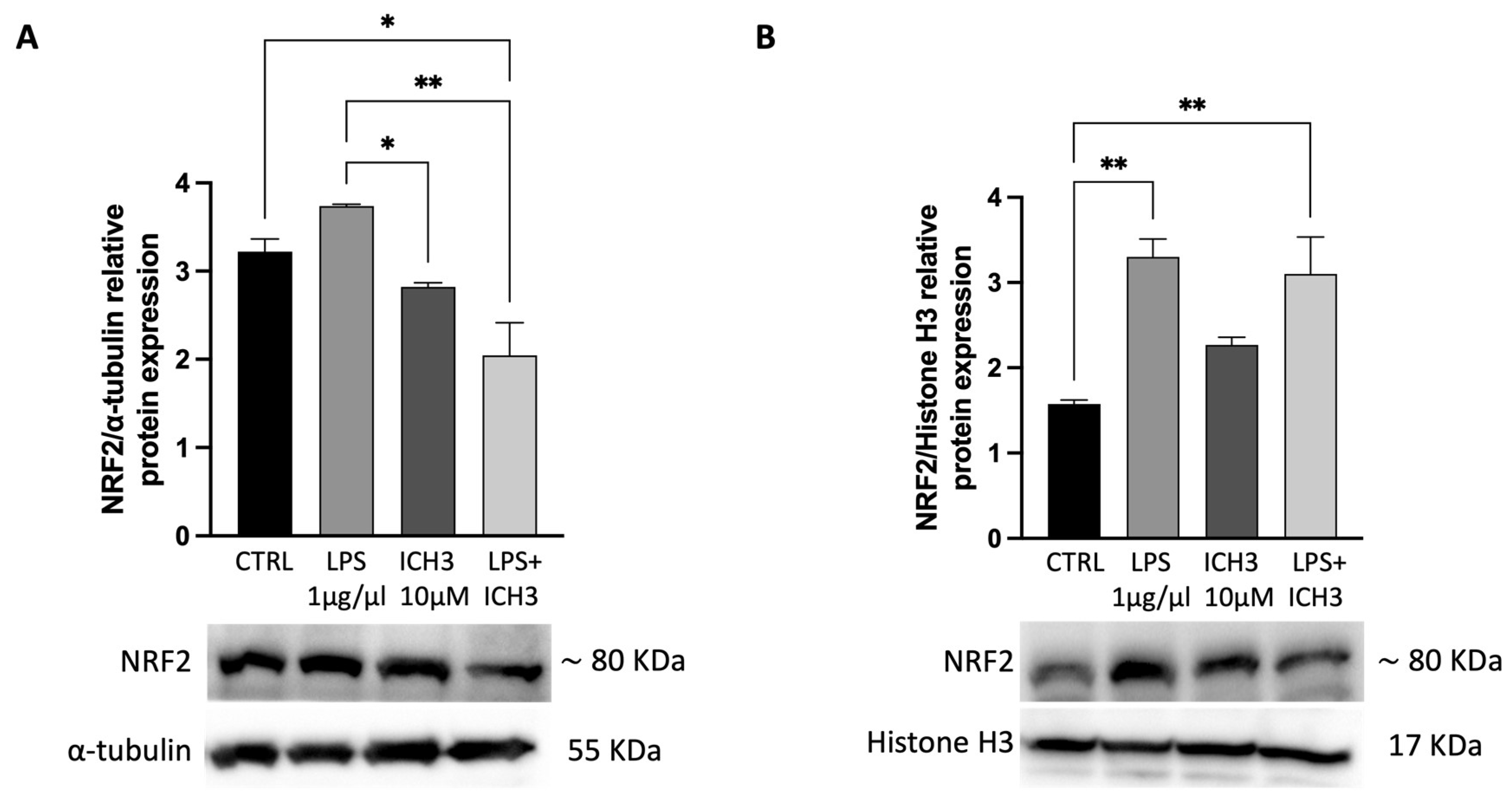 Preprints 145988 g004