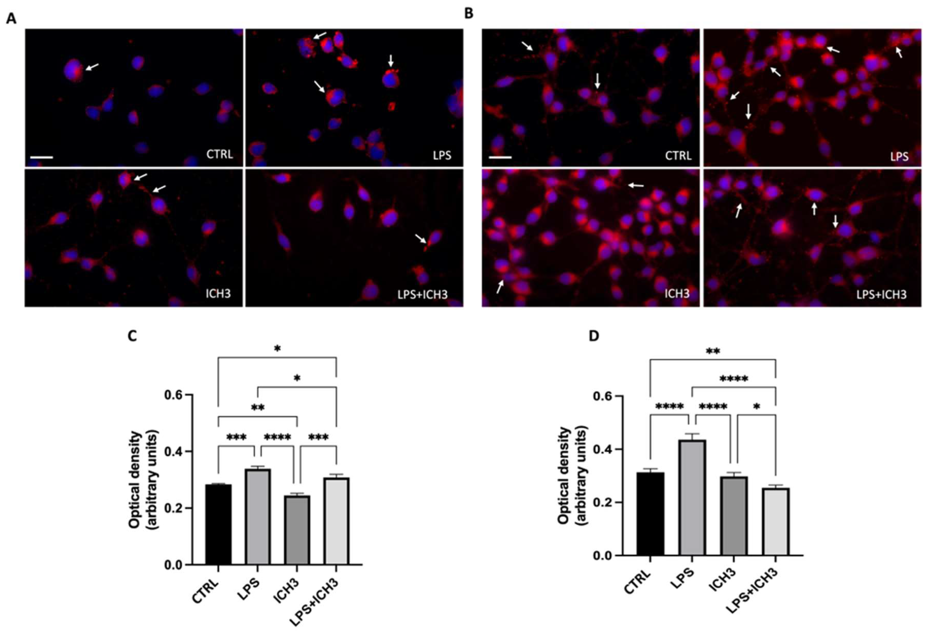 Preprints 145988 g005