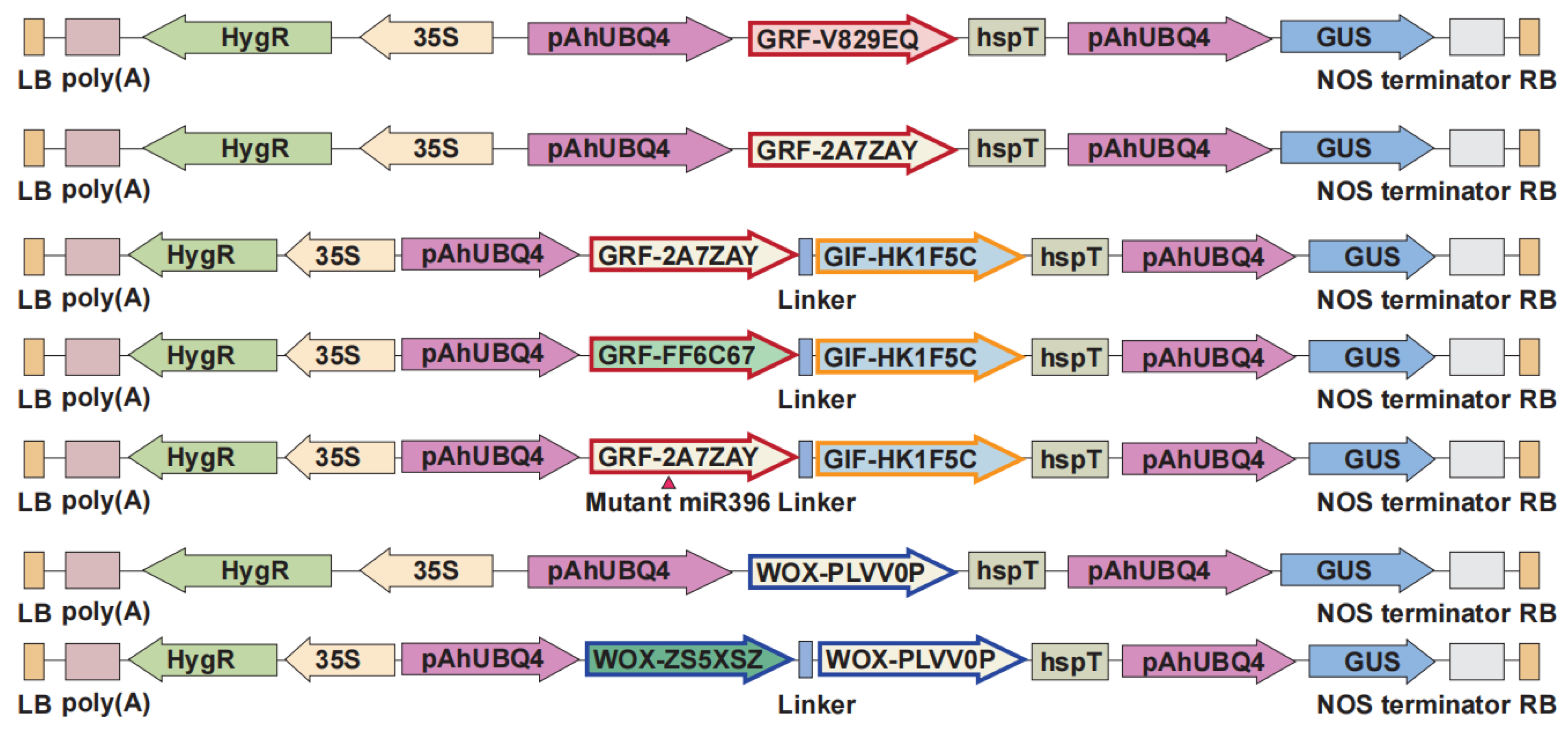 Preprints 208765 g002