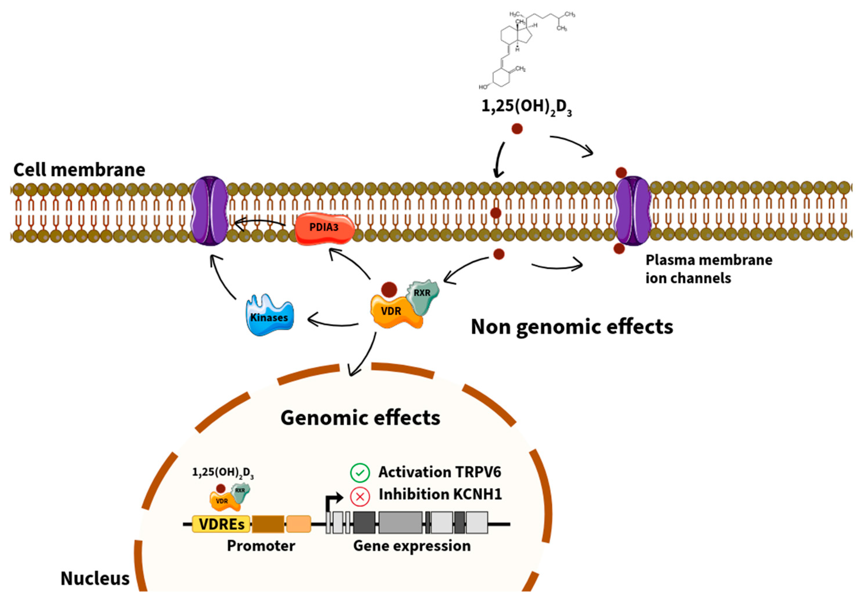 Preprints 190849 g001