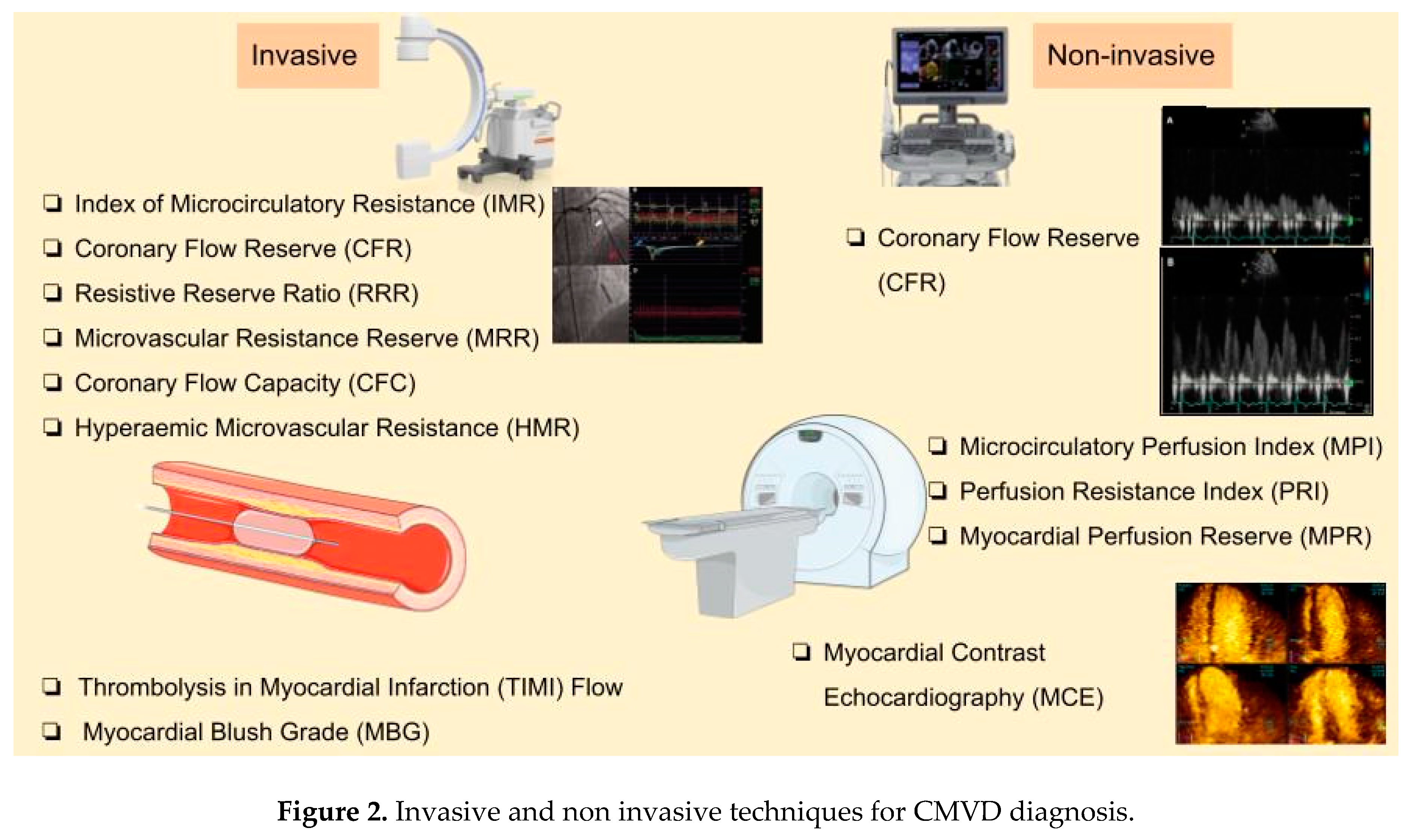 Preprints 149709 g002