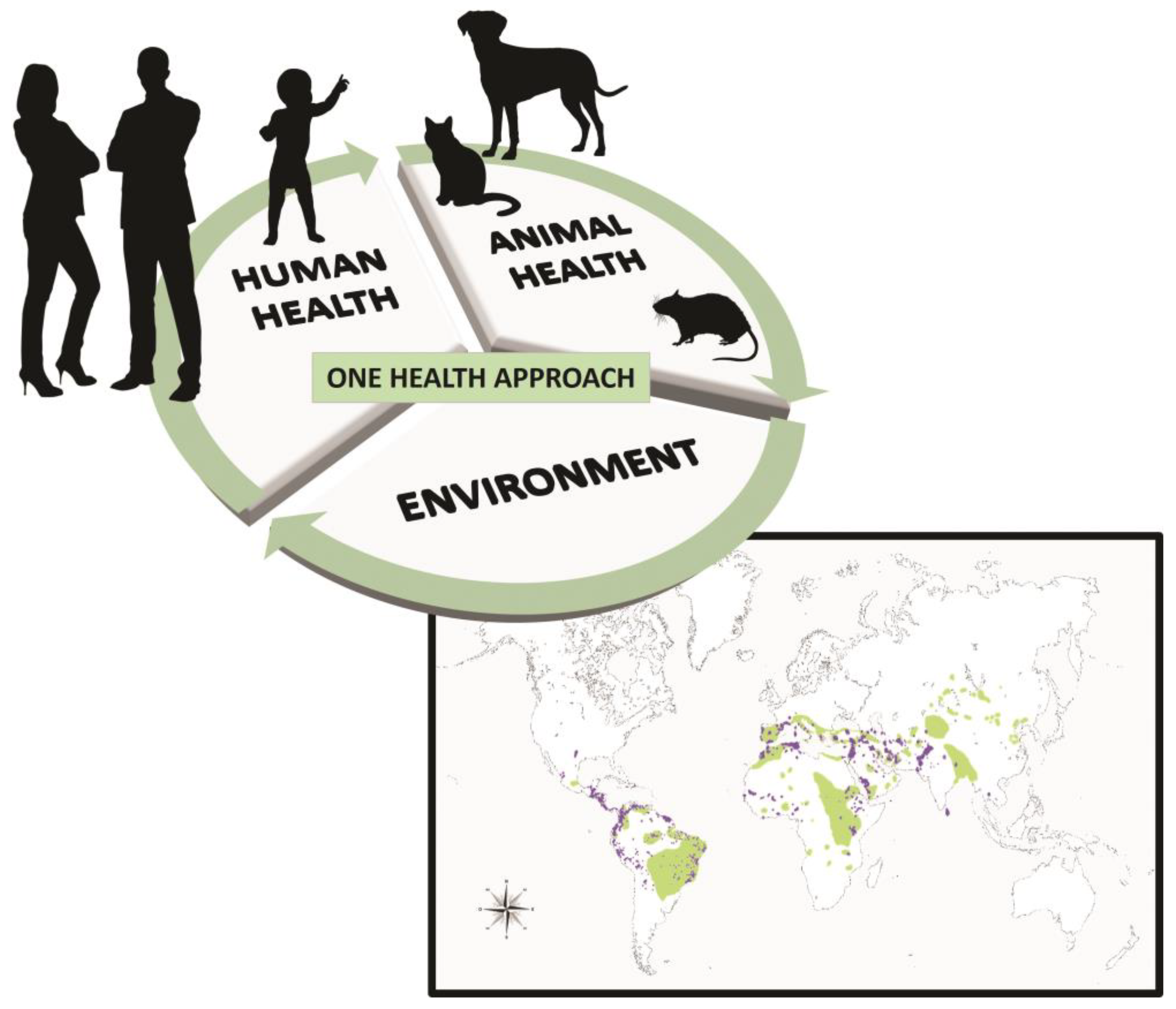 Preprints 147652 g001
