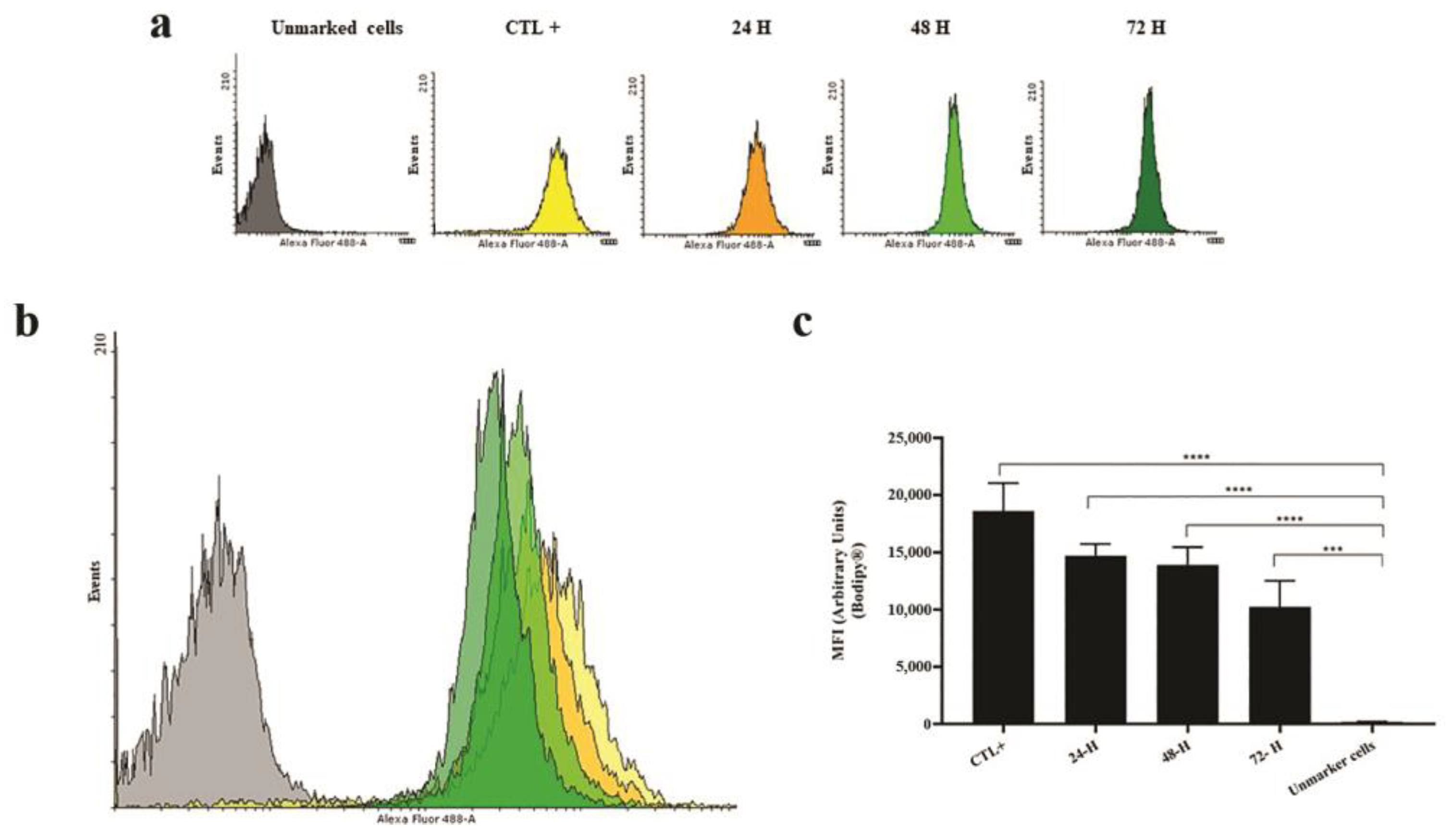 Preprints 147652 g003