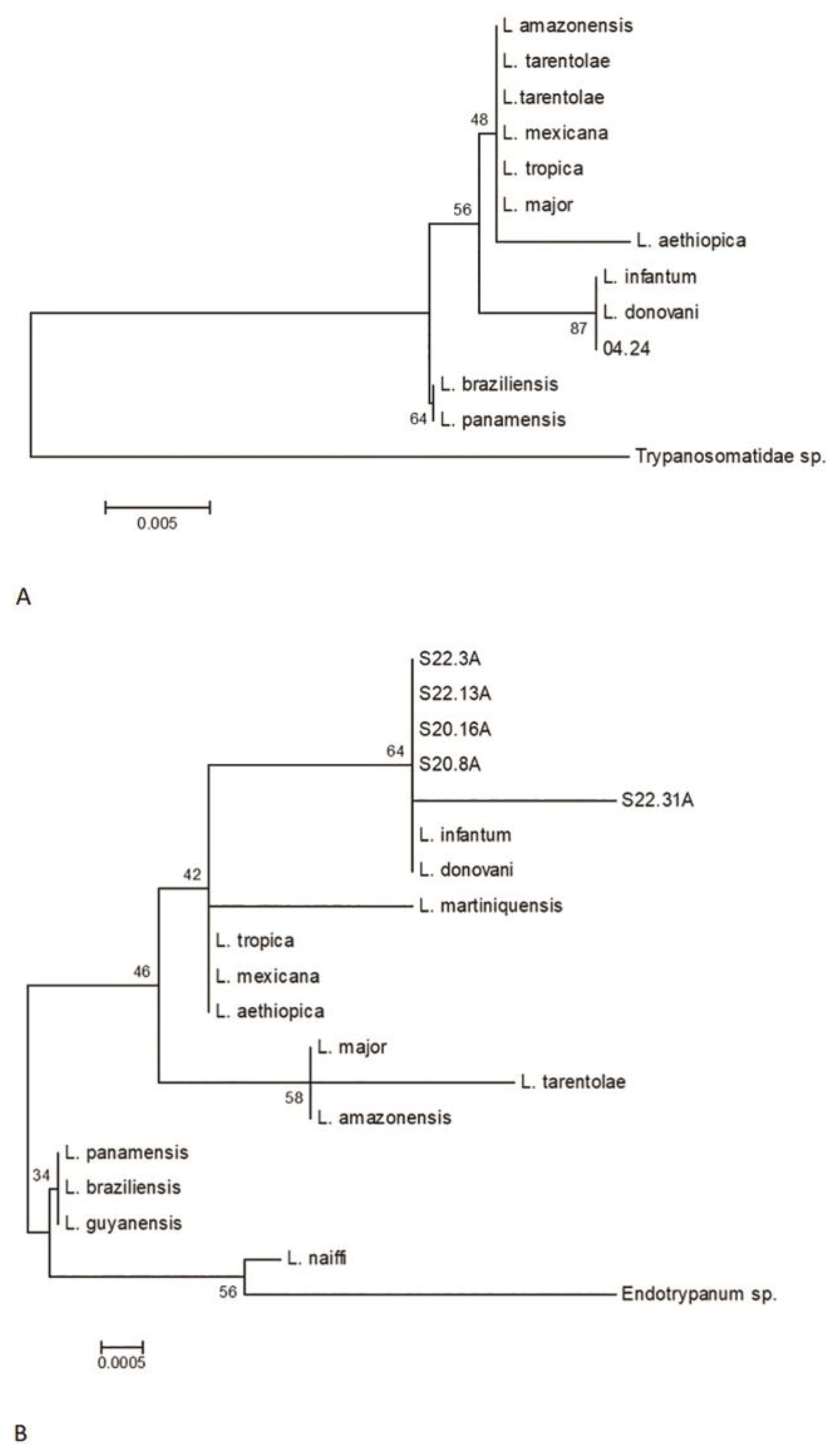 Preprints 147652 g004