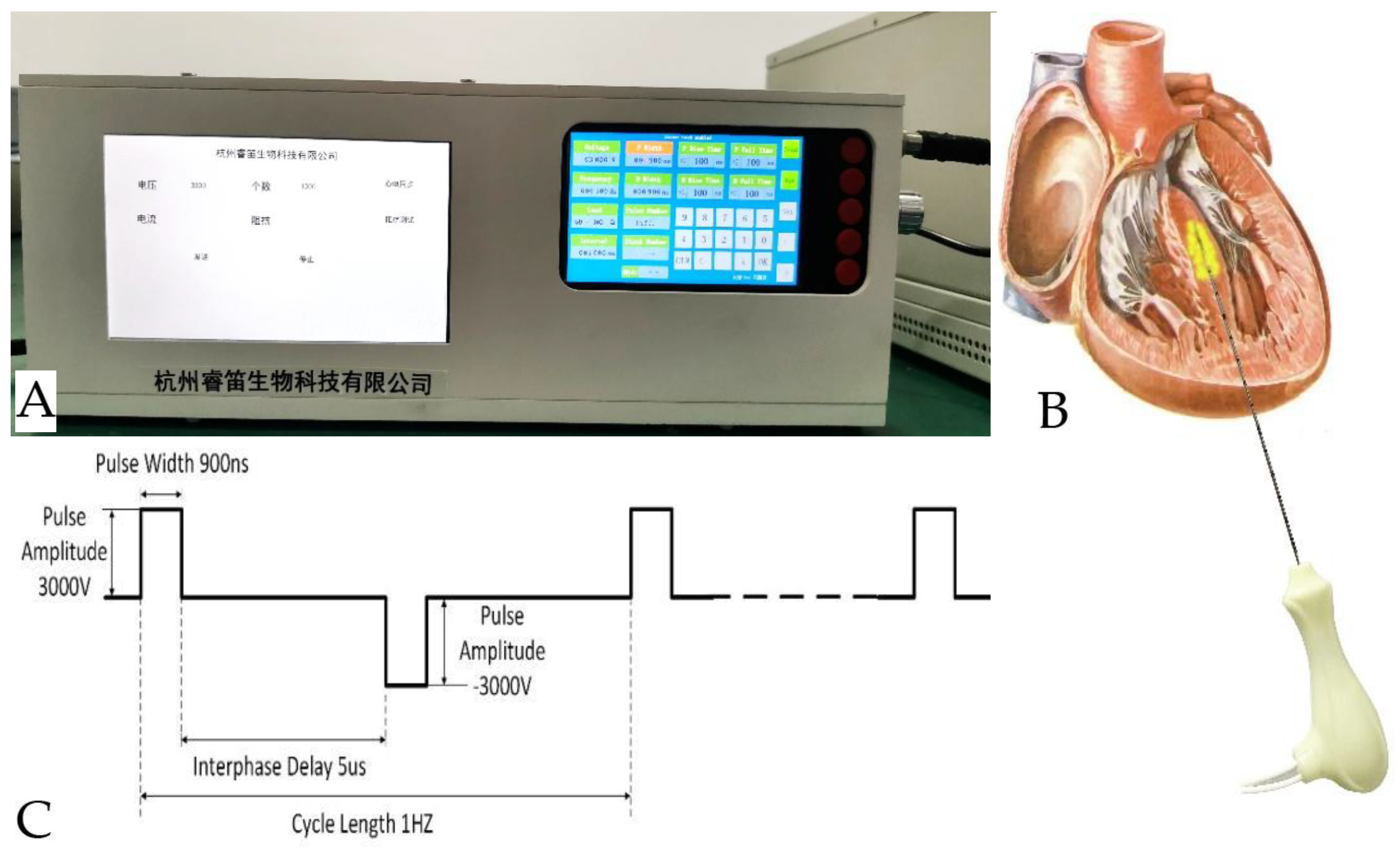 Preprints 186482 g001
