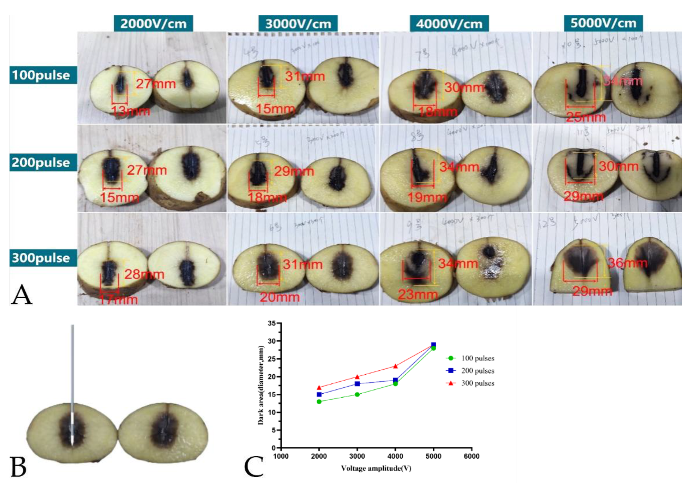 Preprints 186482 g003