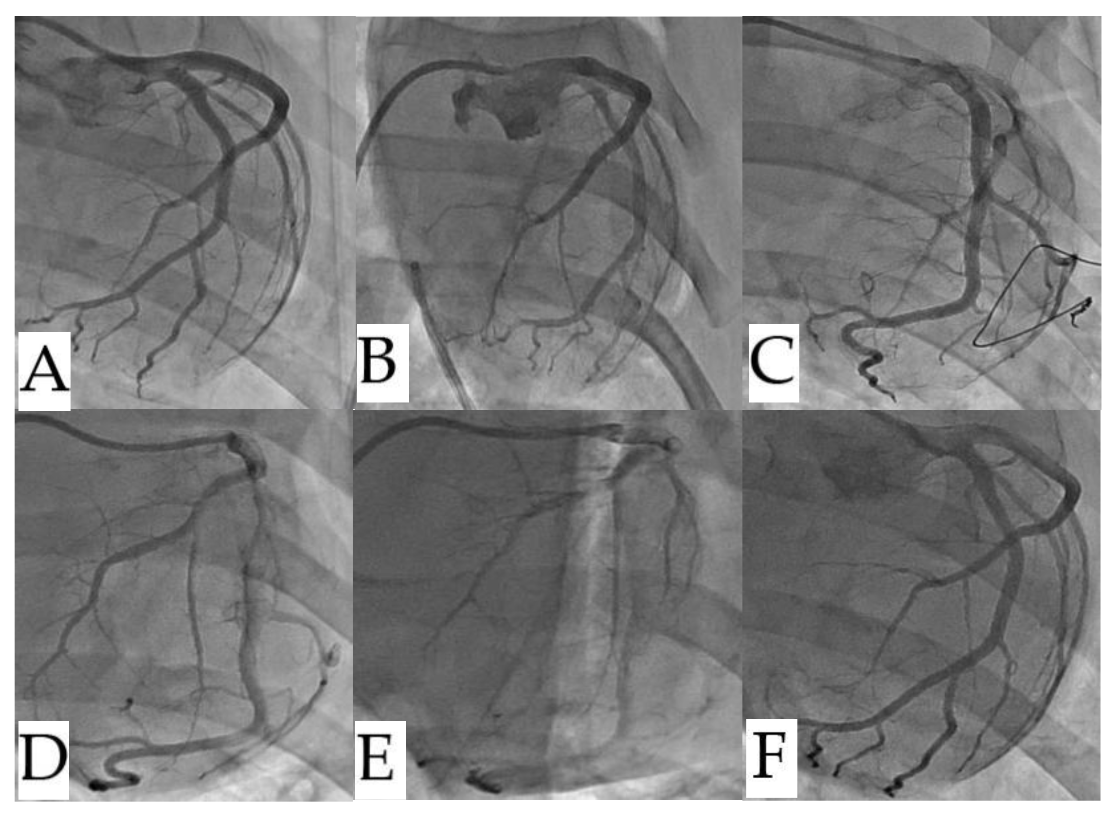 Preprints 186482 g005