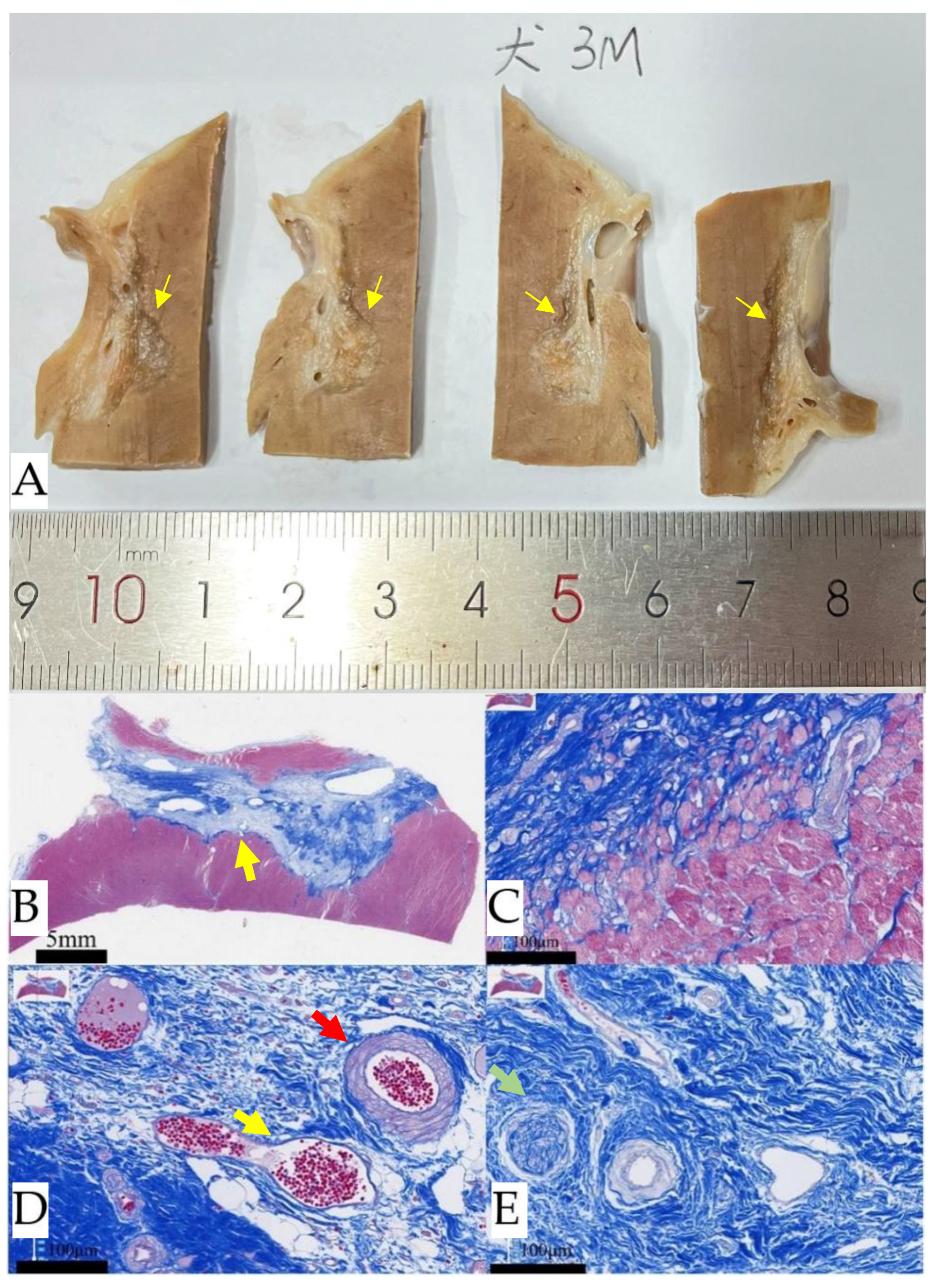 Preprints 186482 g009