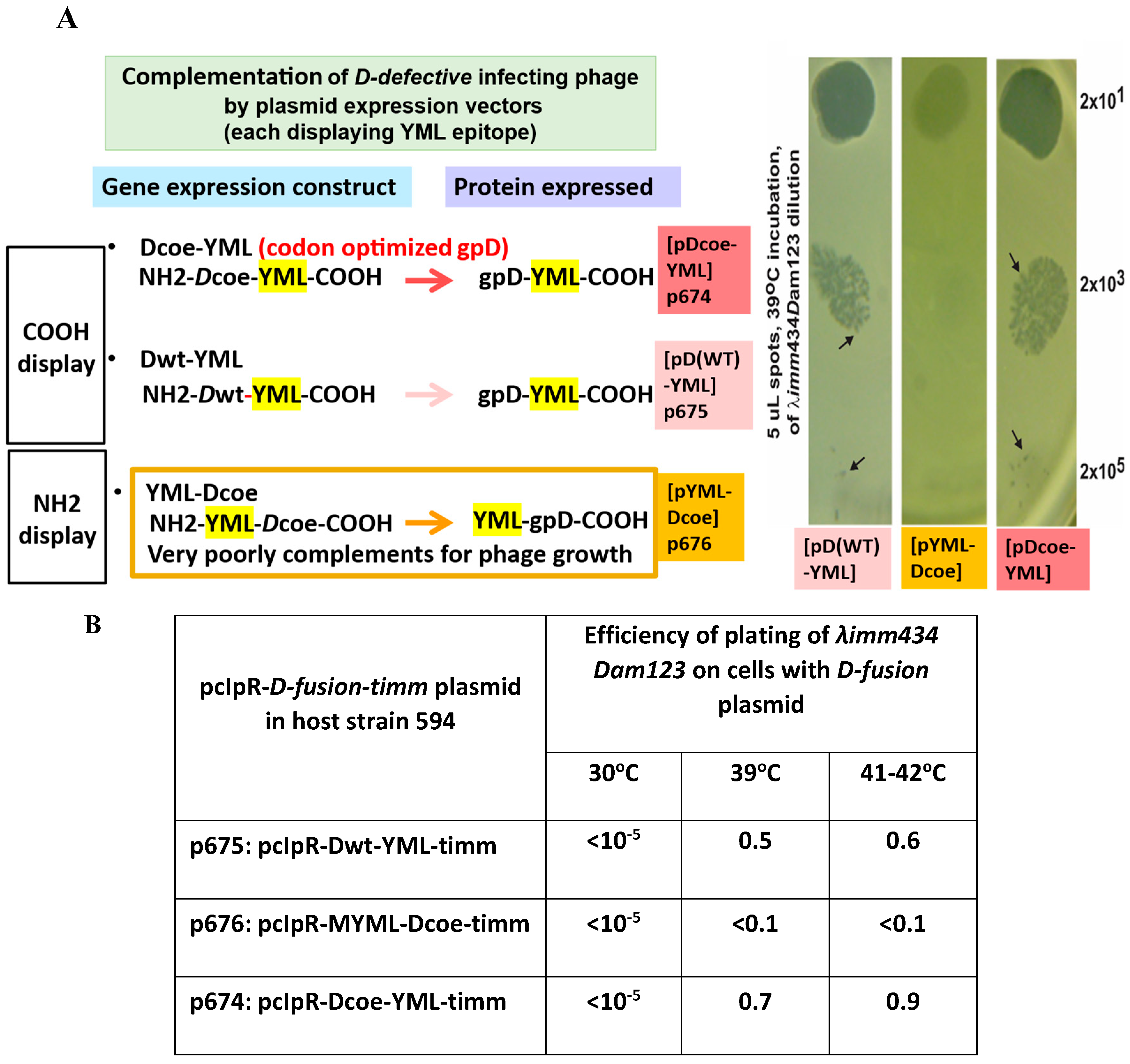 Preprints 167220 g002