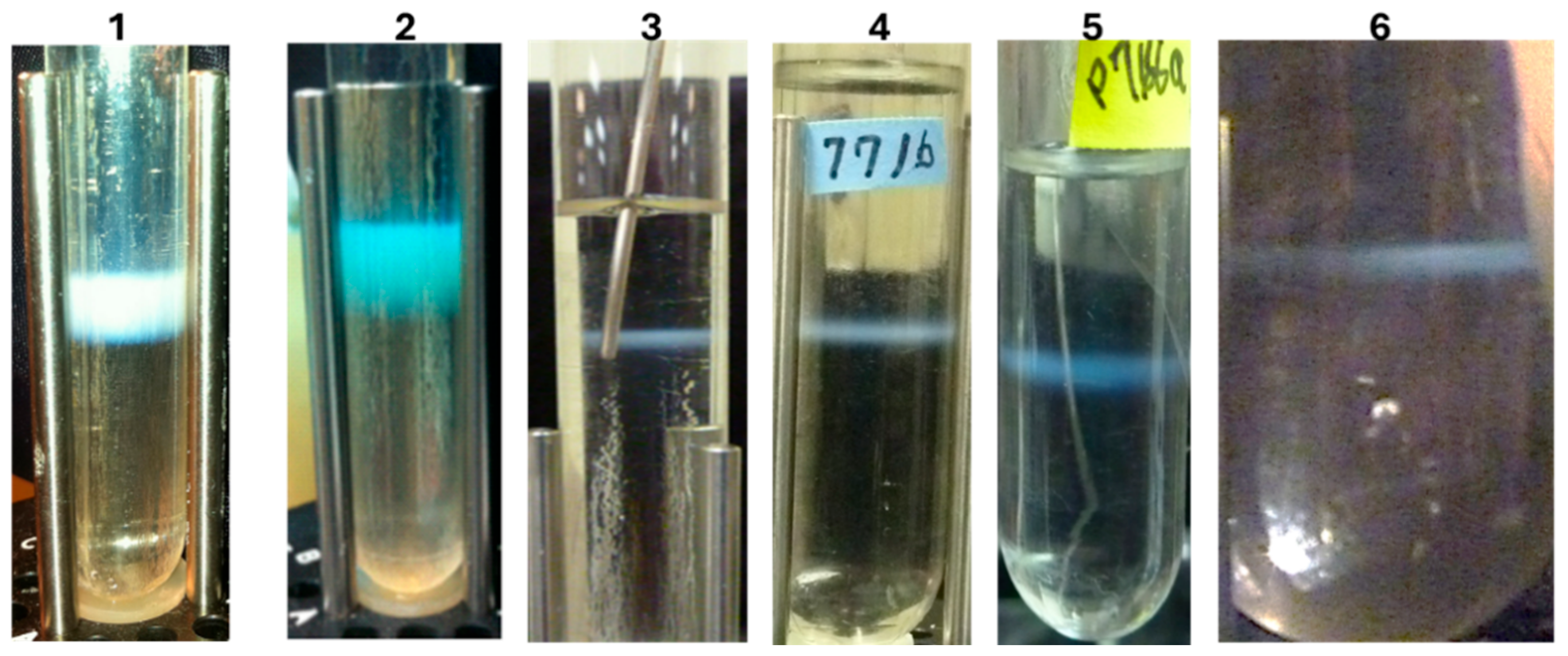 Preprints 167220 g005