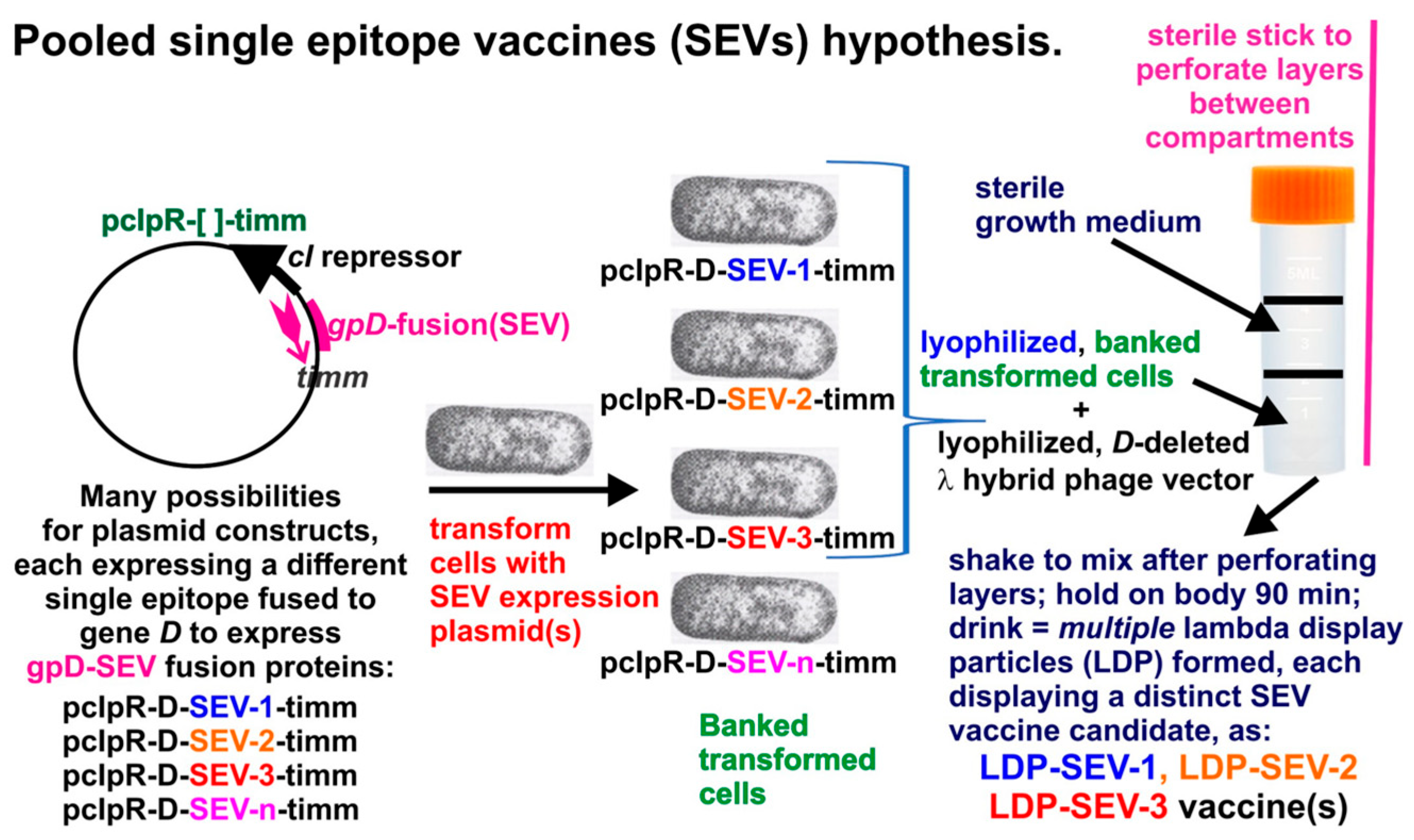 Preprints 167220 g006