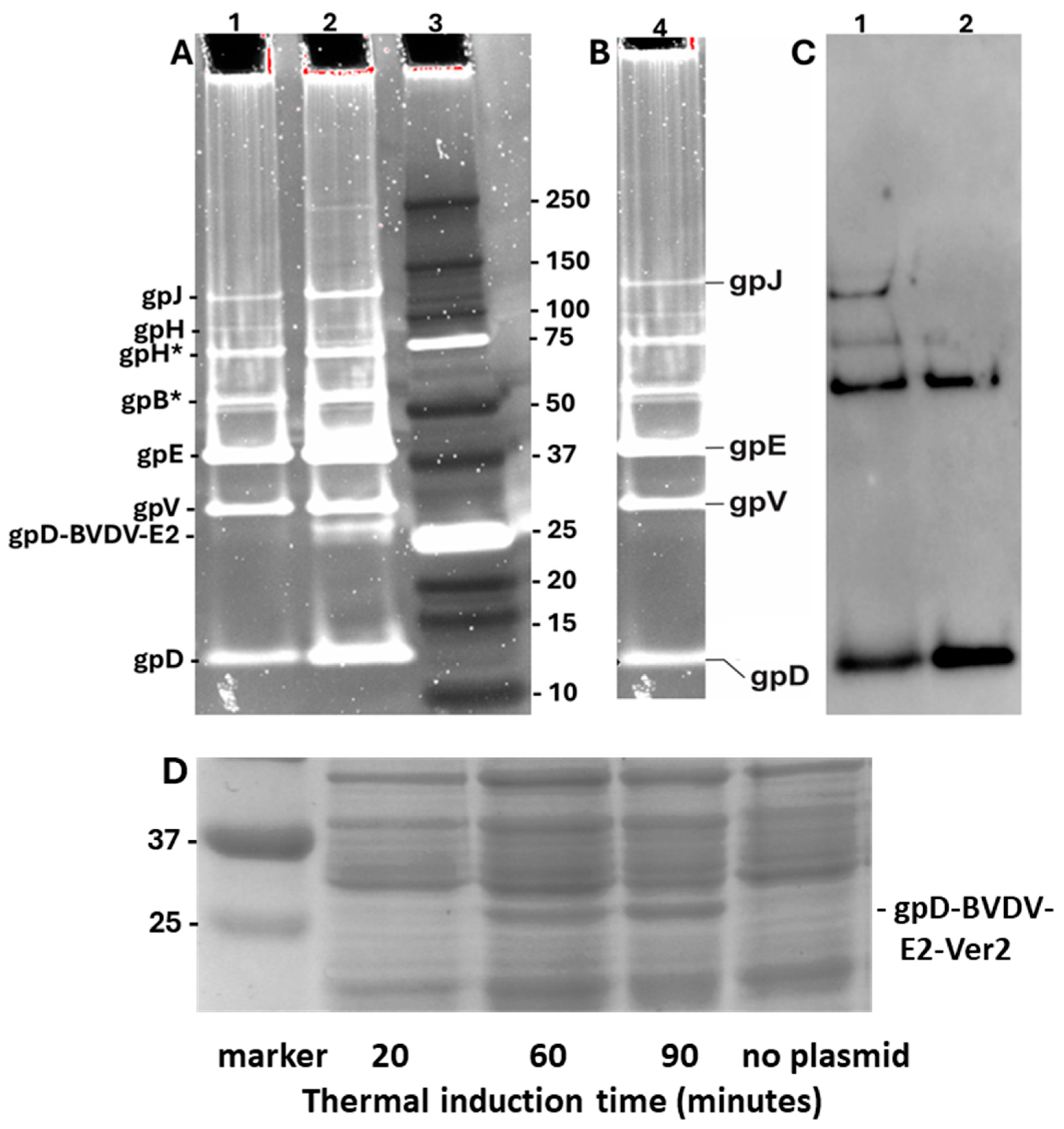 Preprints 167220 g007