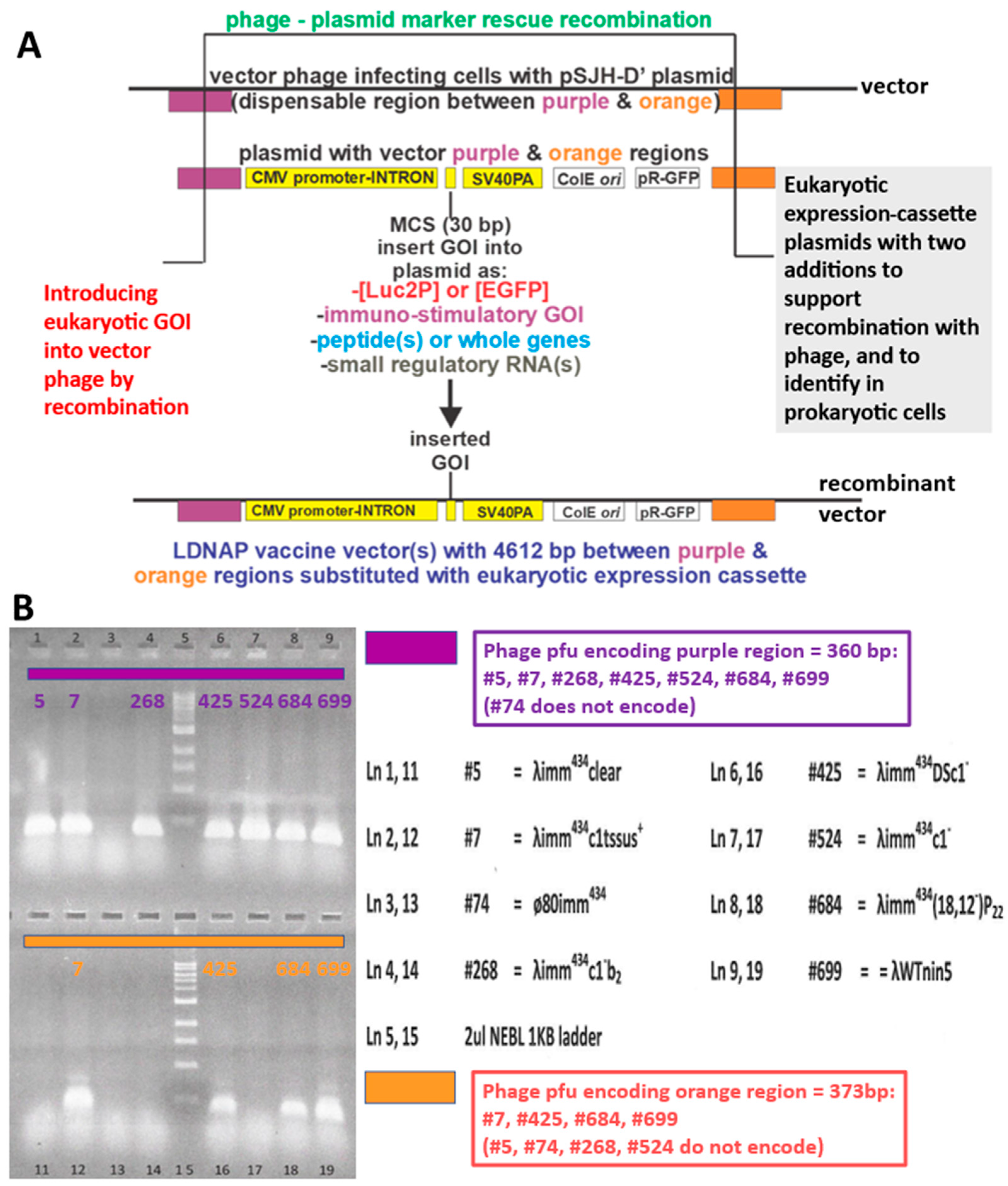 Preprints 167220 g008