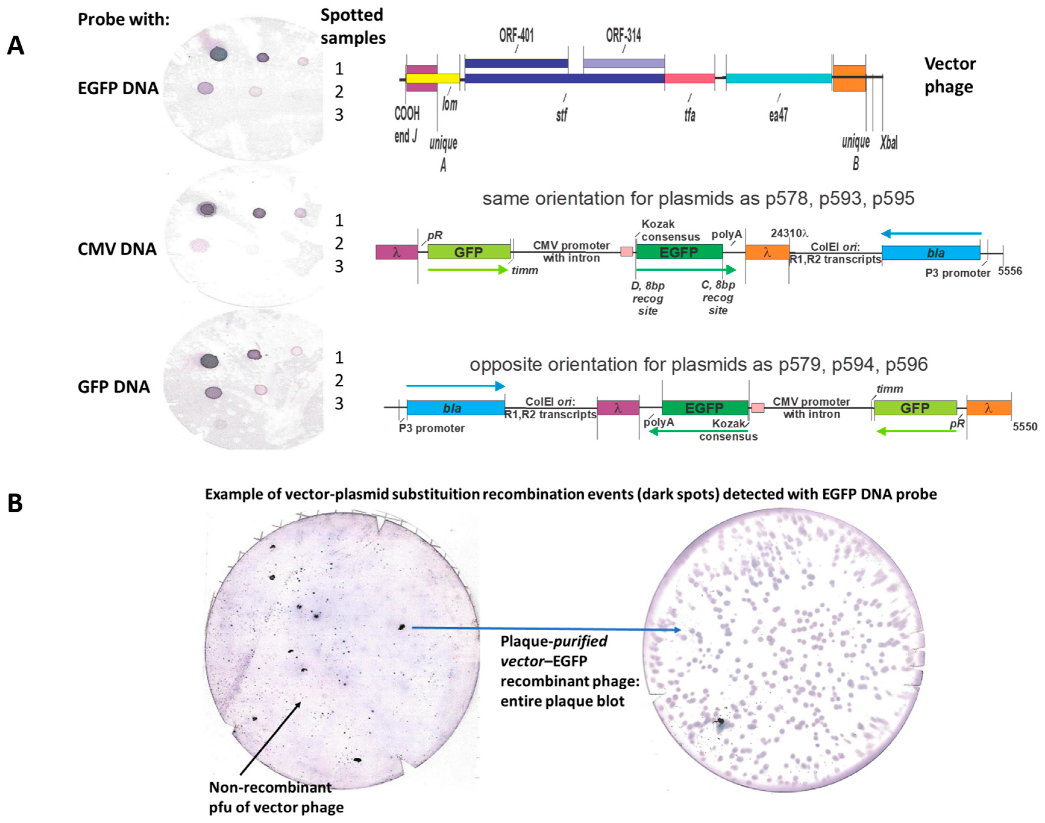 Preprints 167220 g009
