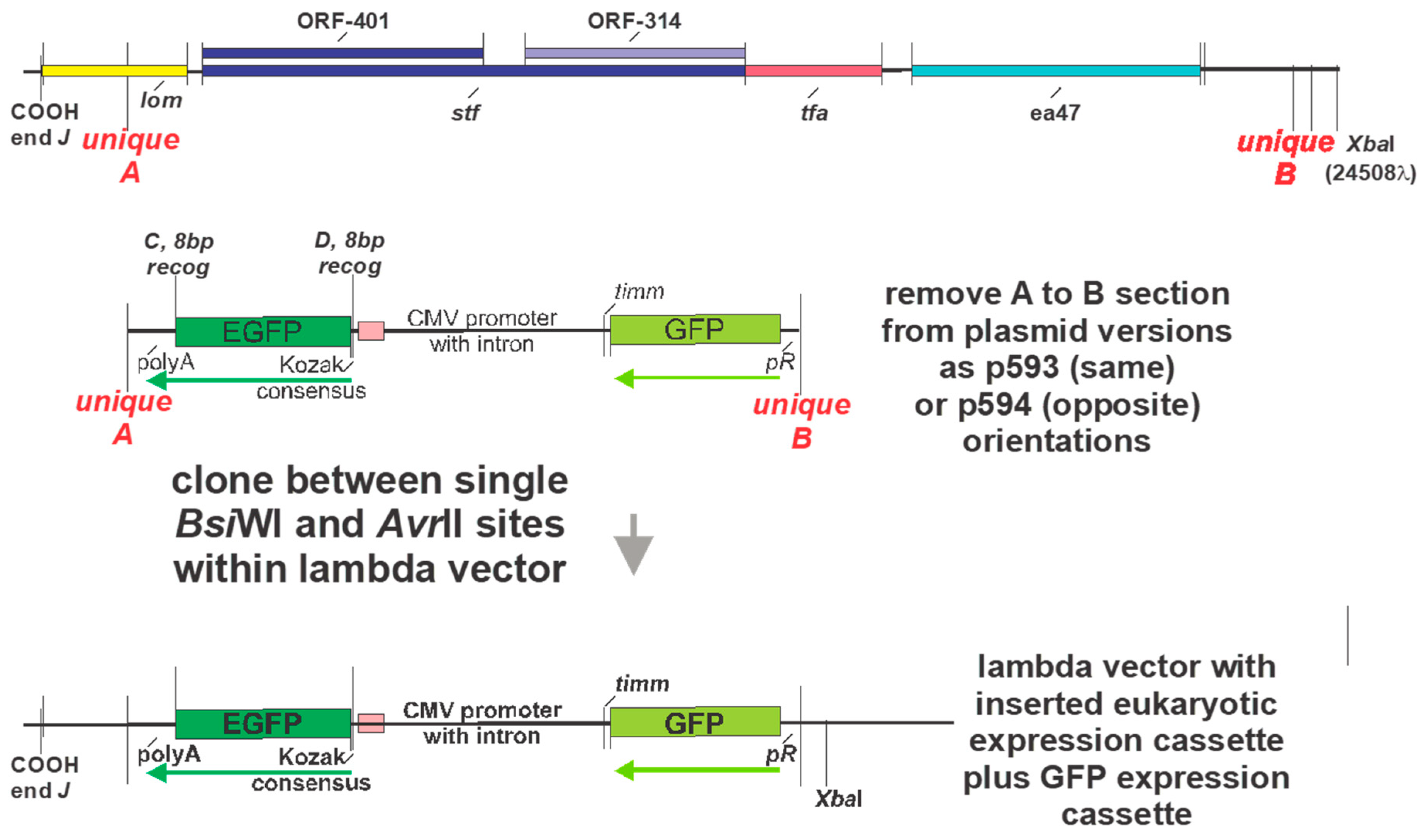 Preprints 167220 g010
