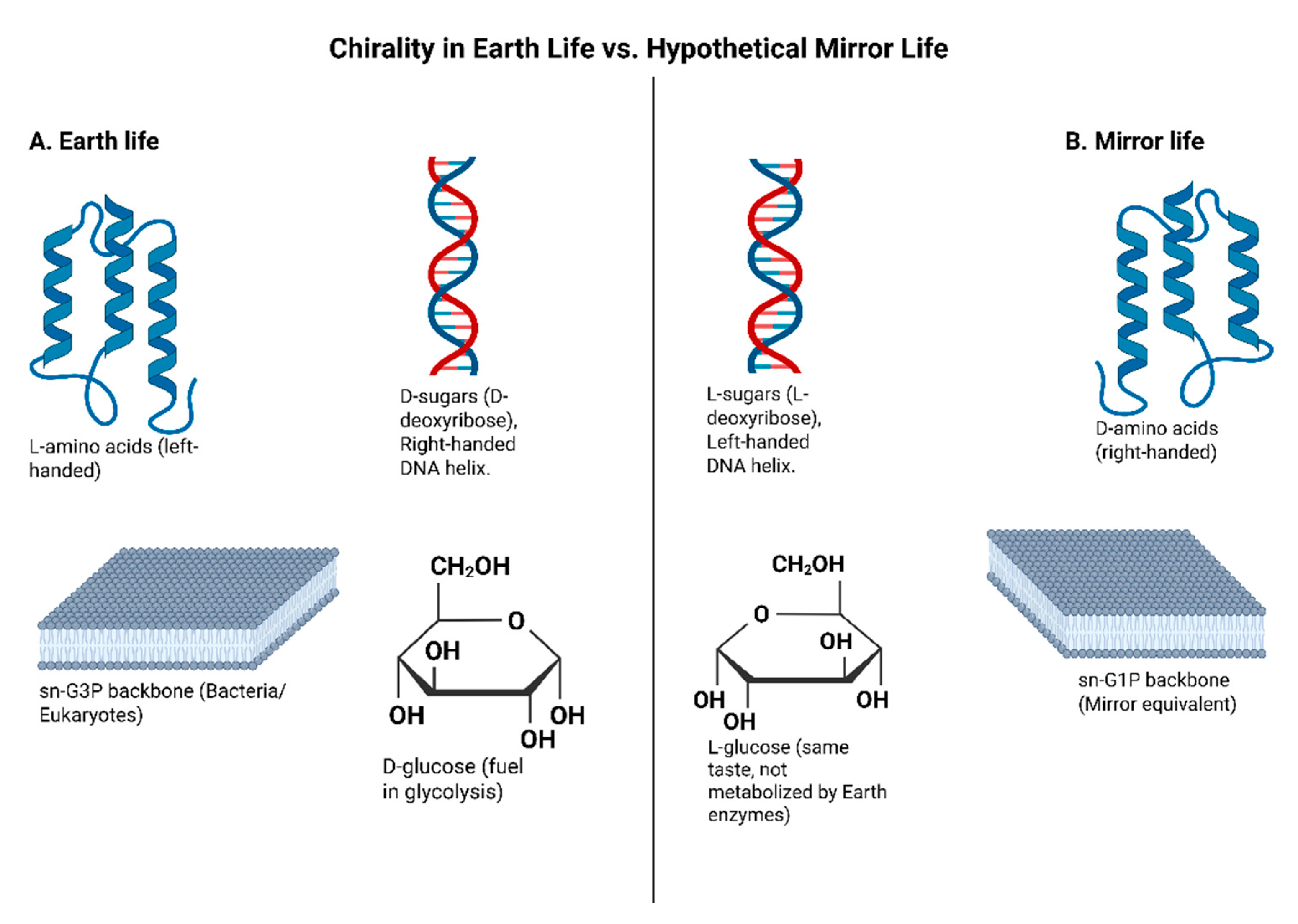 Preprints 178509 g002