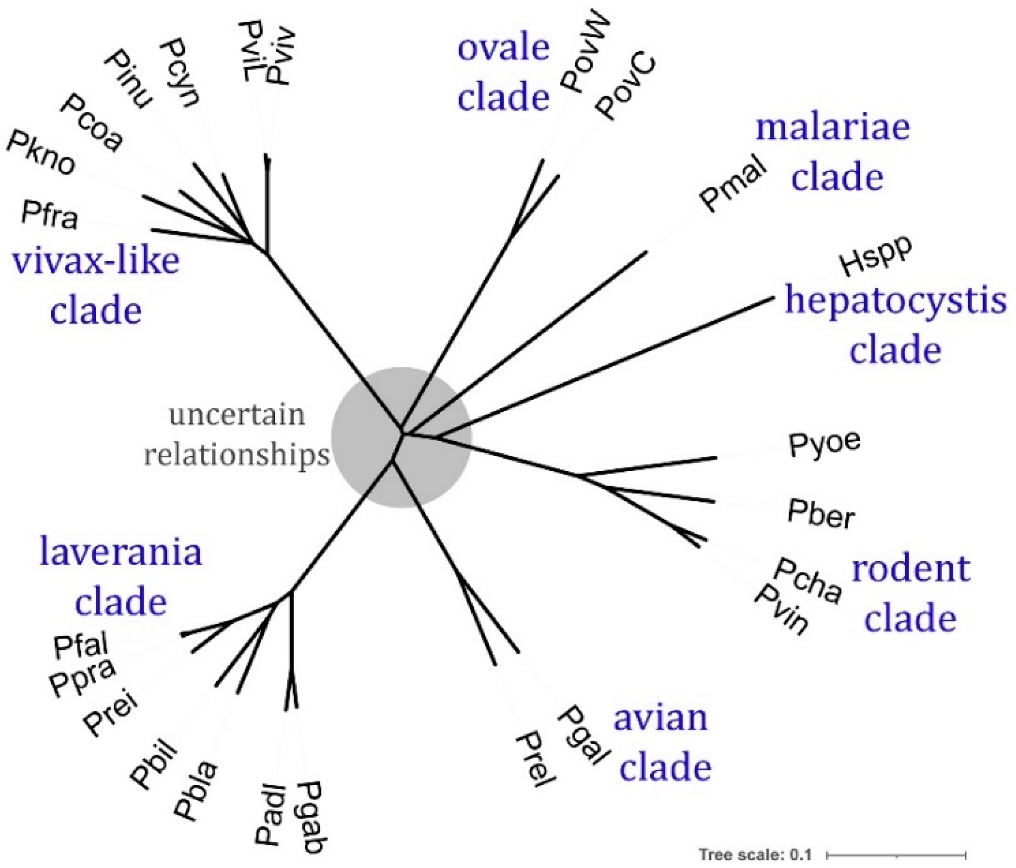 Preprints 142516 g001