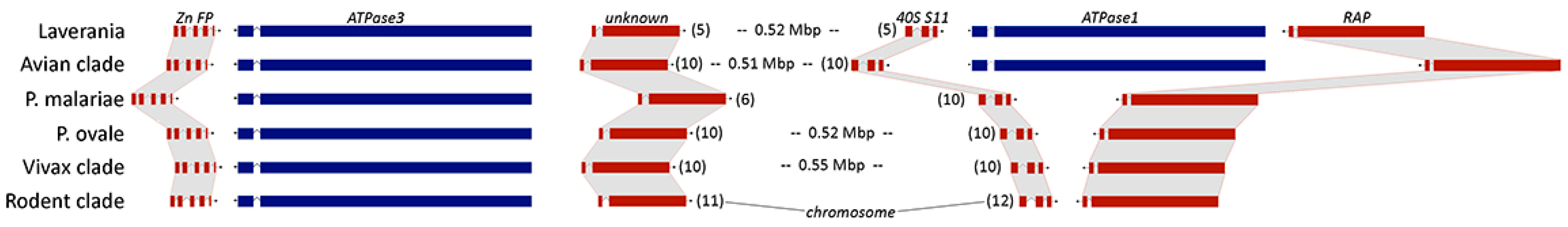 Preprints 142516 g003