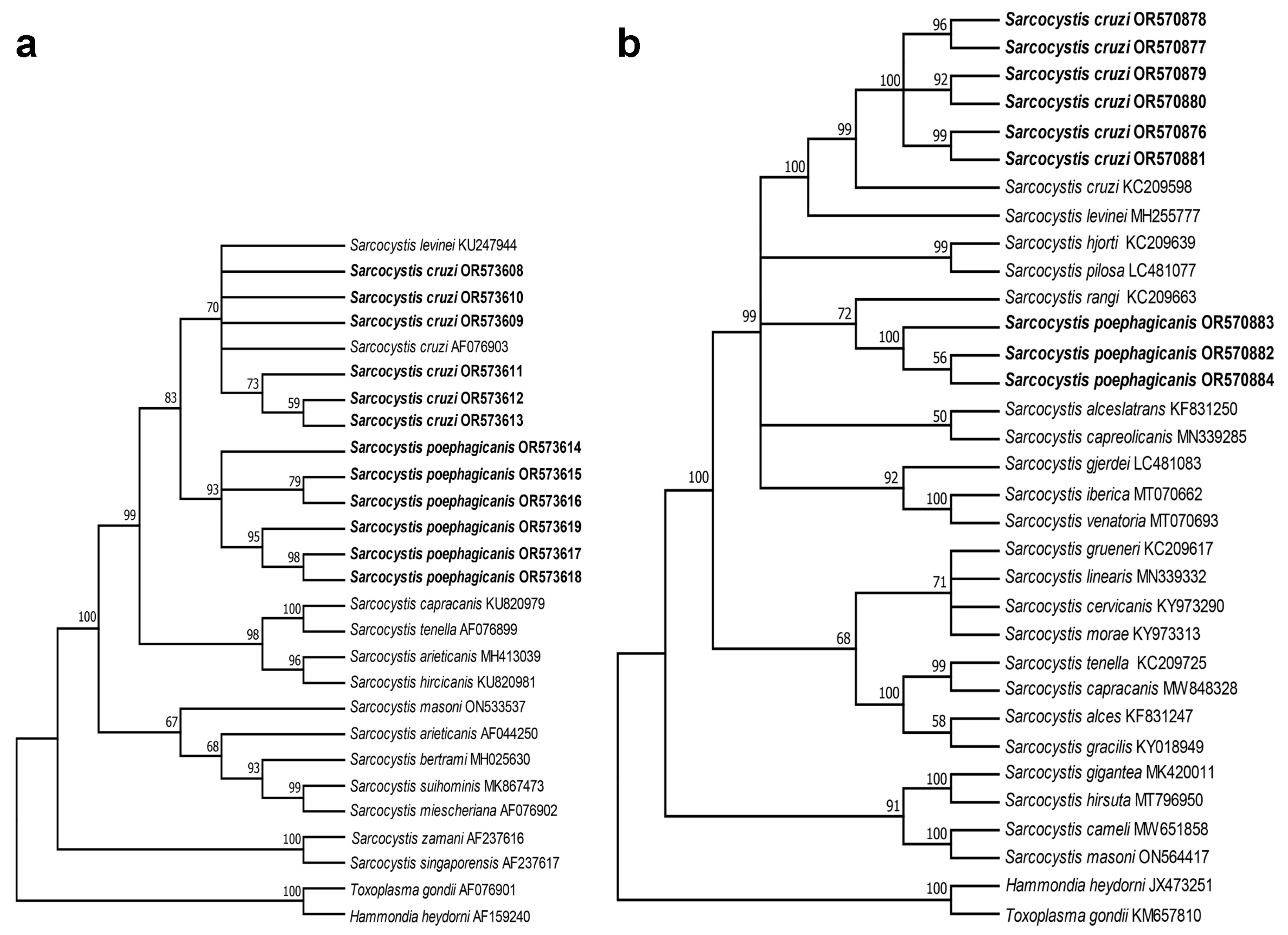 Preprints 87243 g002