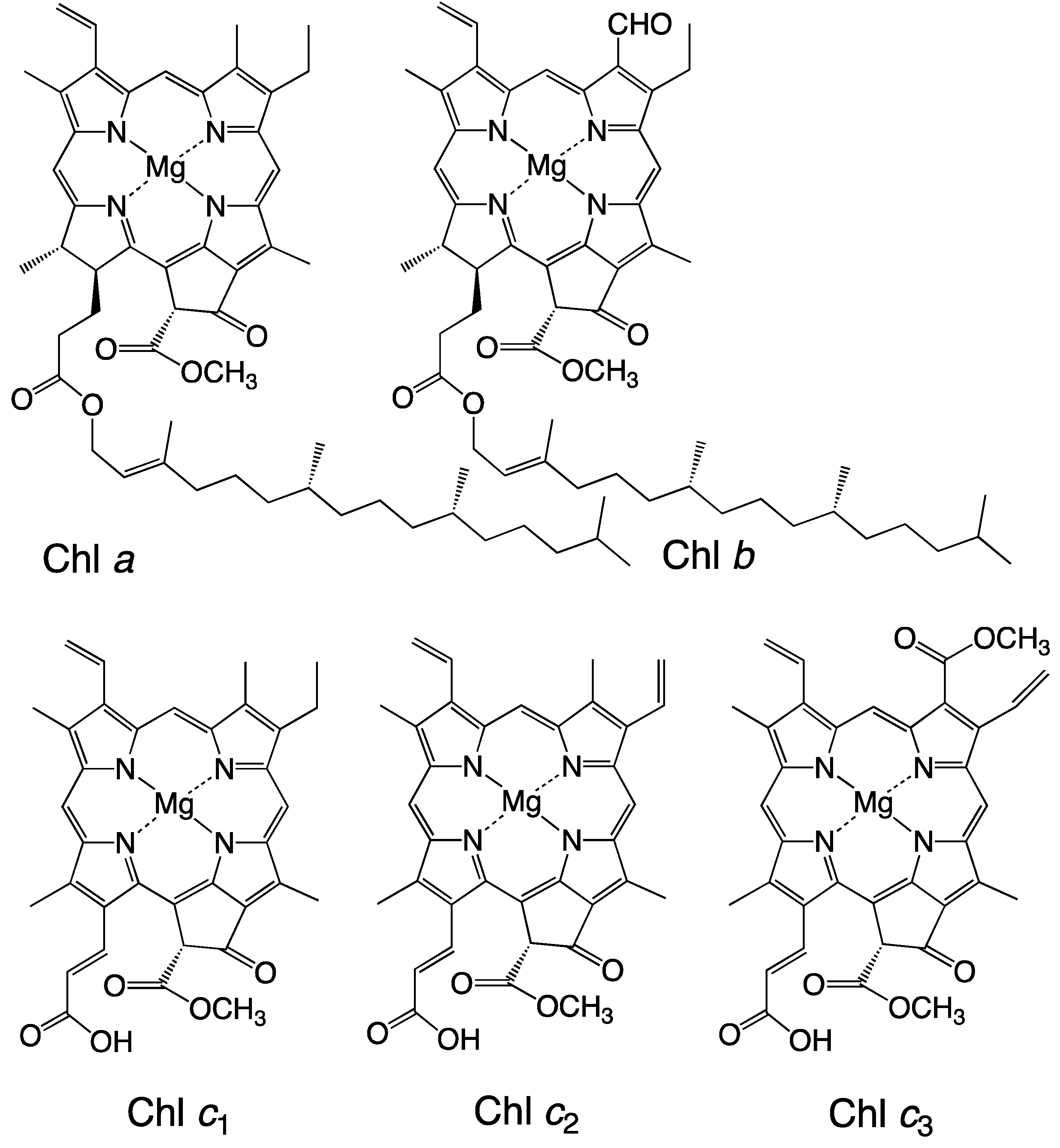 Preprints 142437 g001