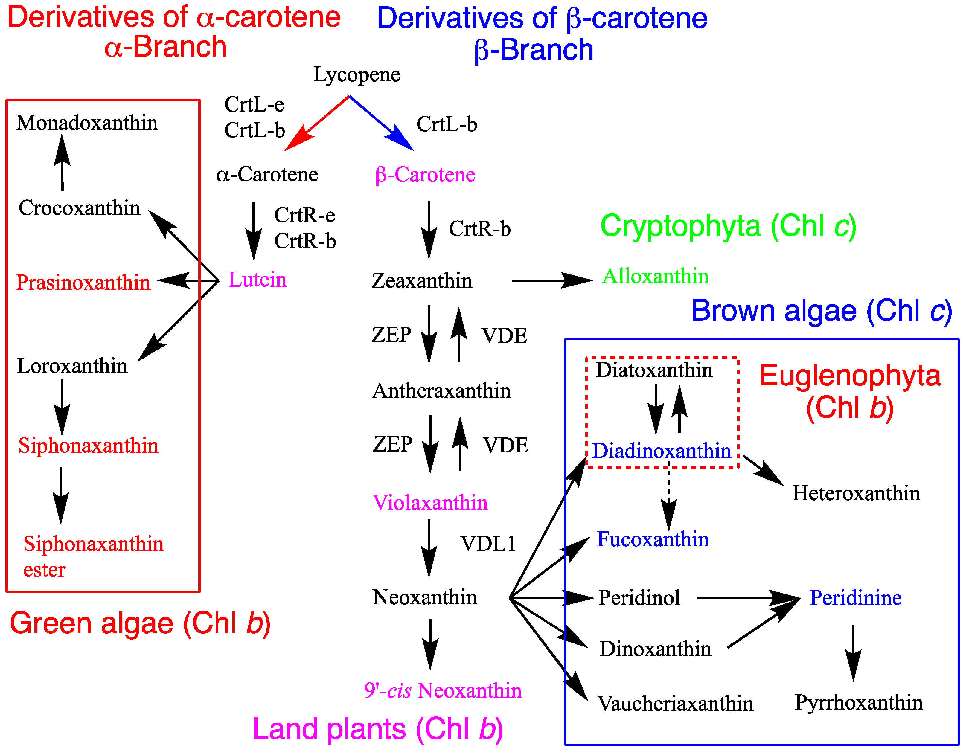 Preprints 142437 g002