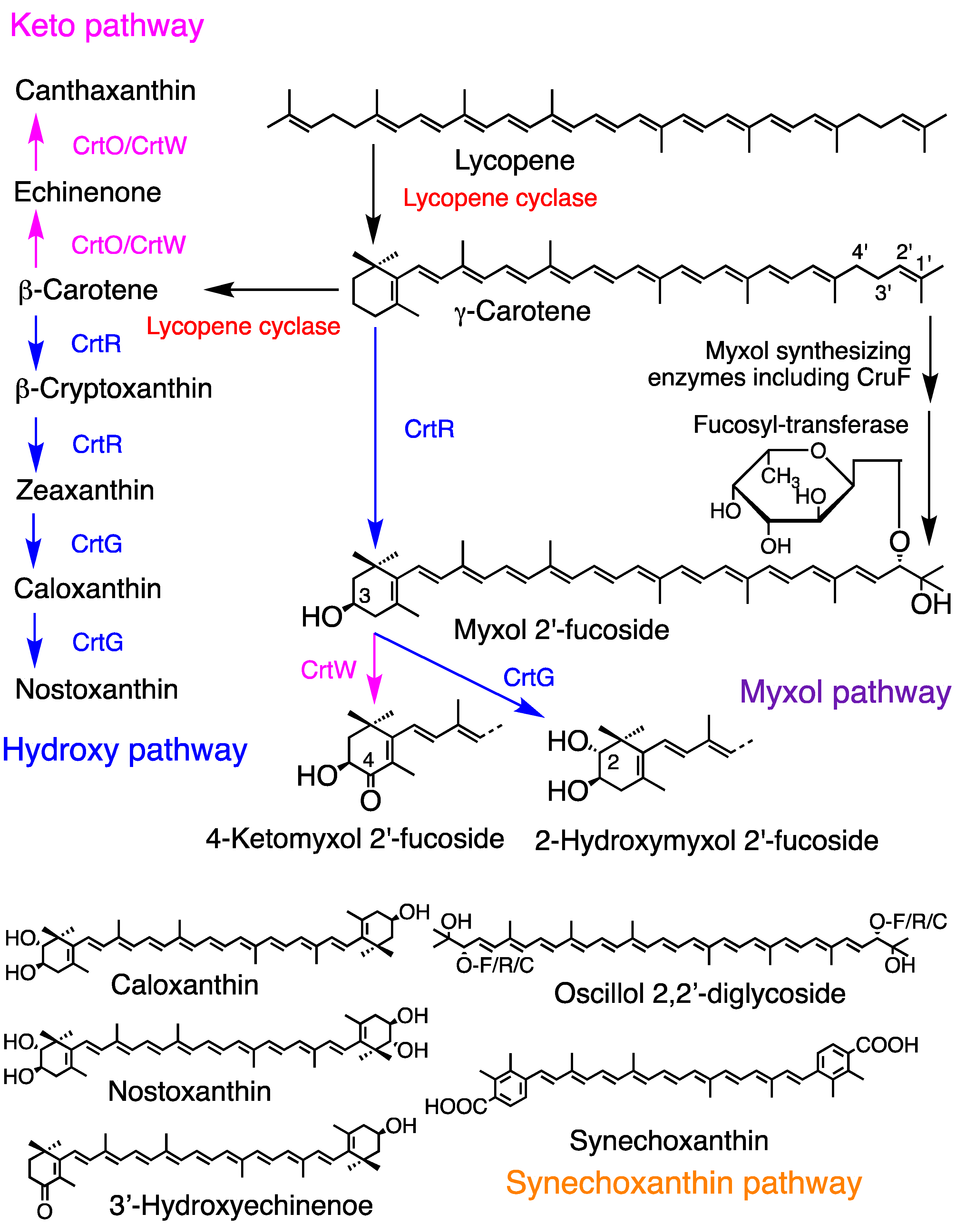 Preprints 142437 g003
