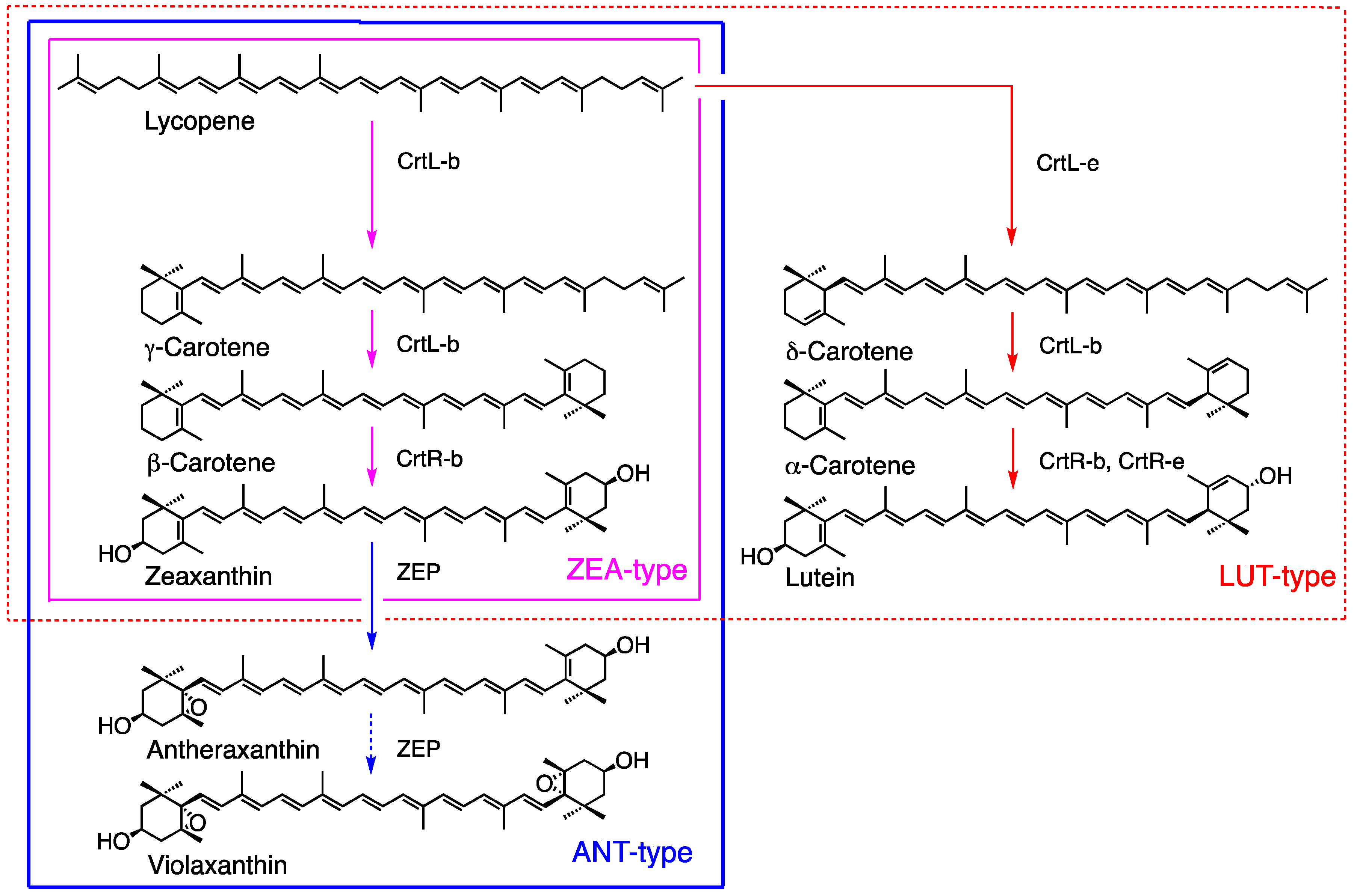 Preprints 142437 g004