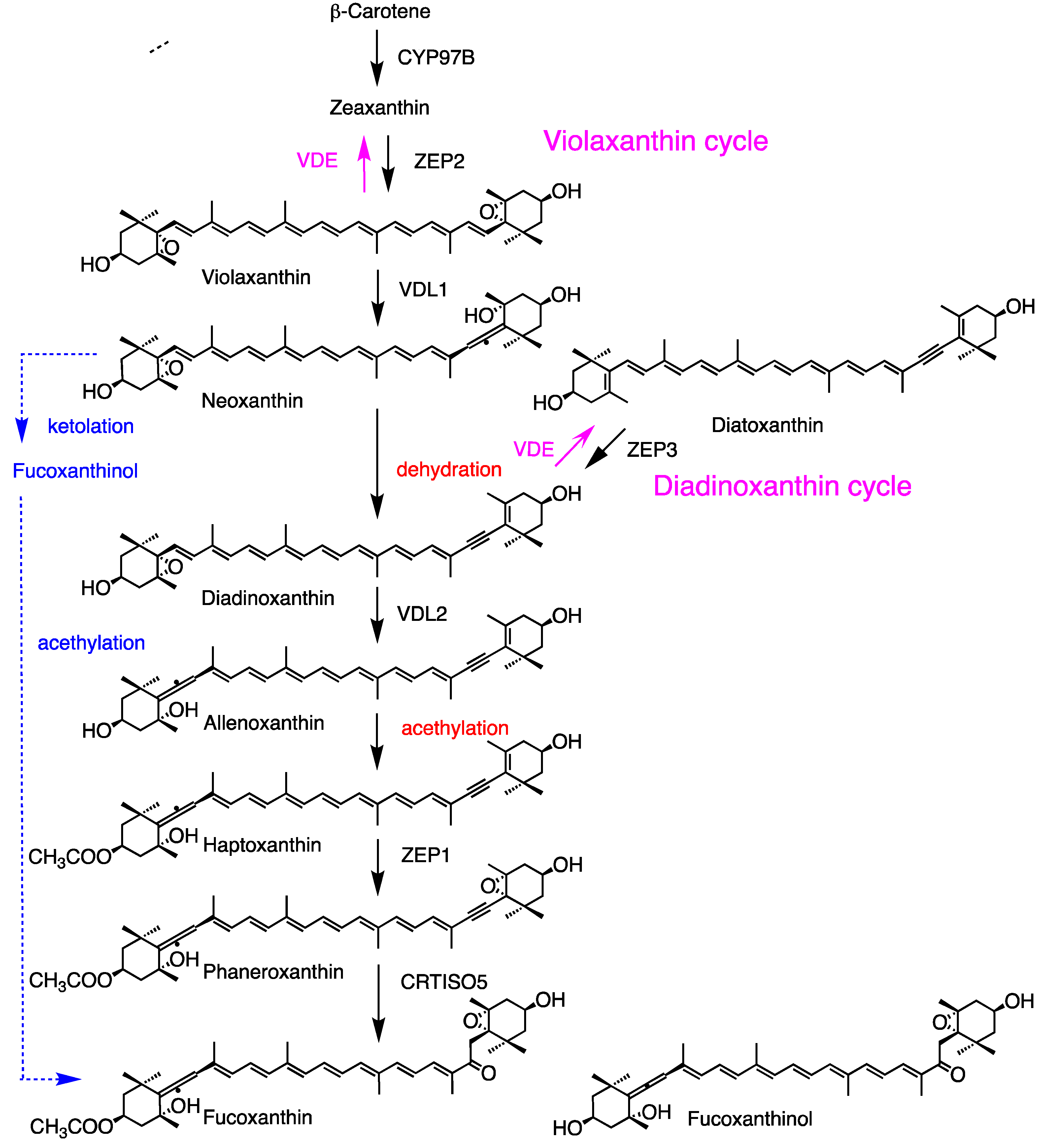 Preprints 142437 g005