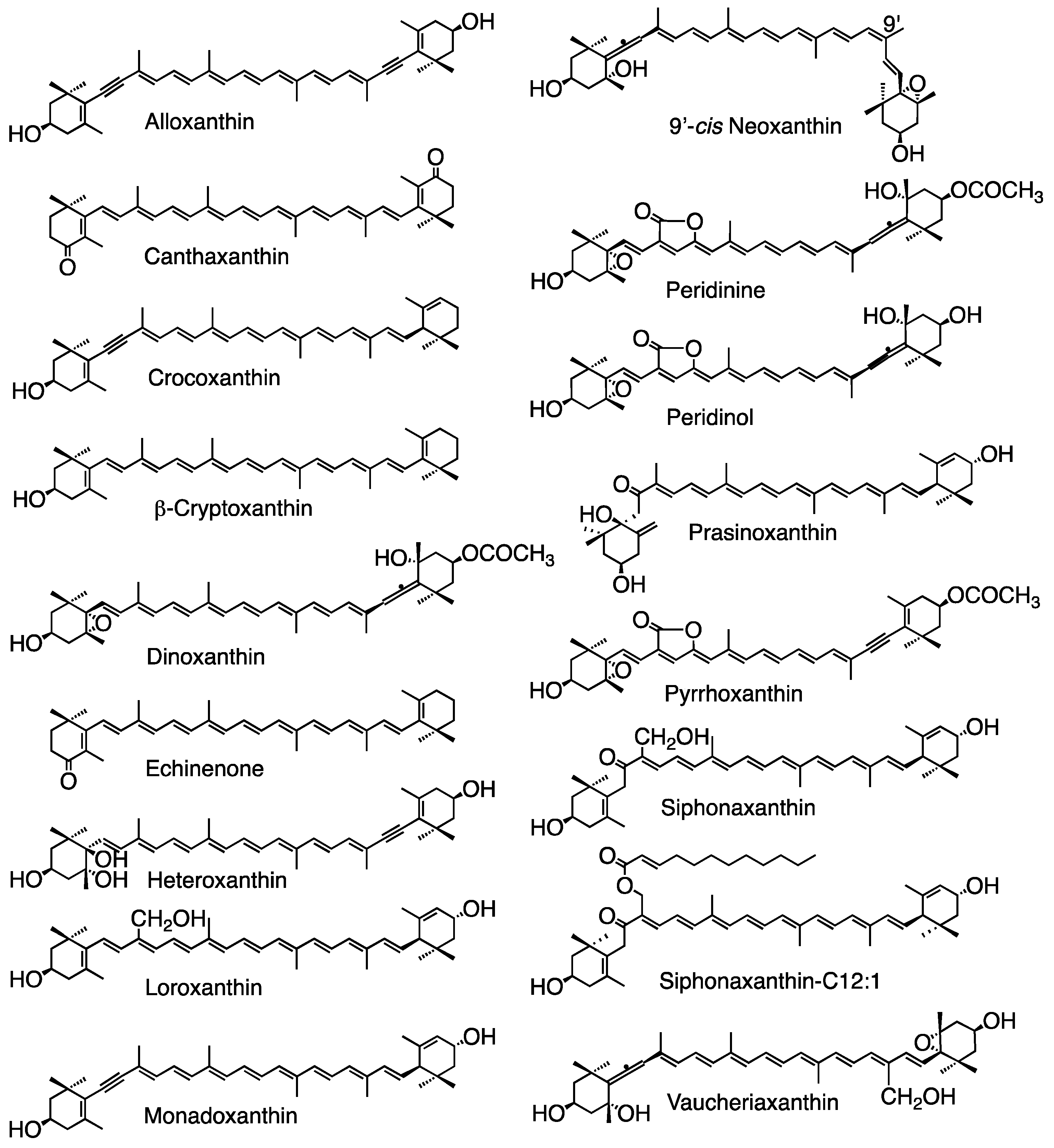 Preprints 142437 g006