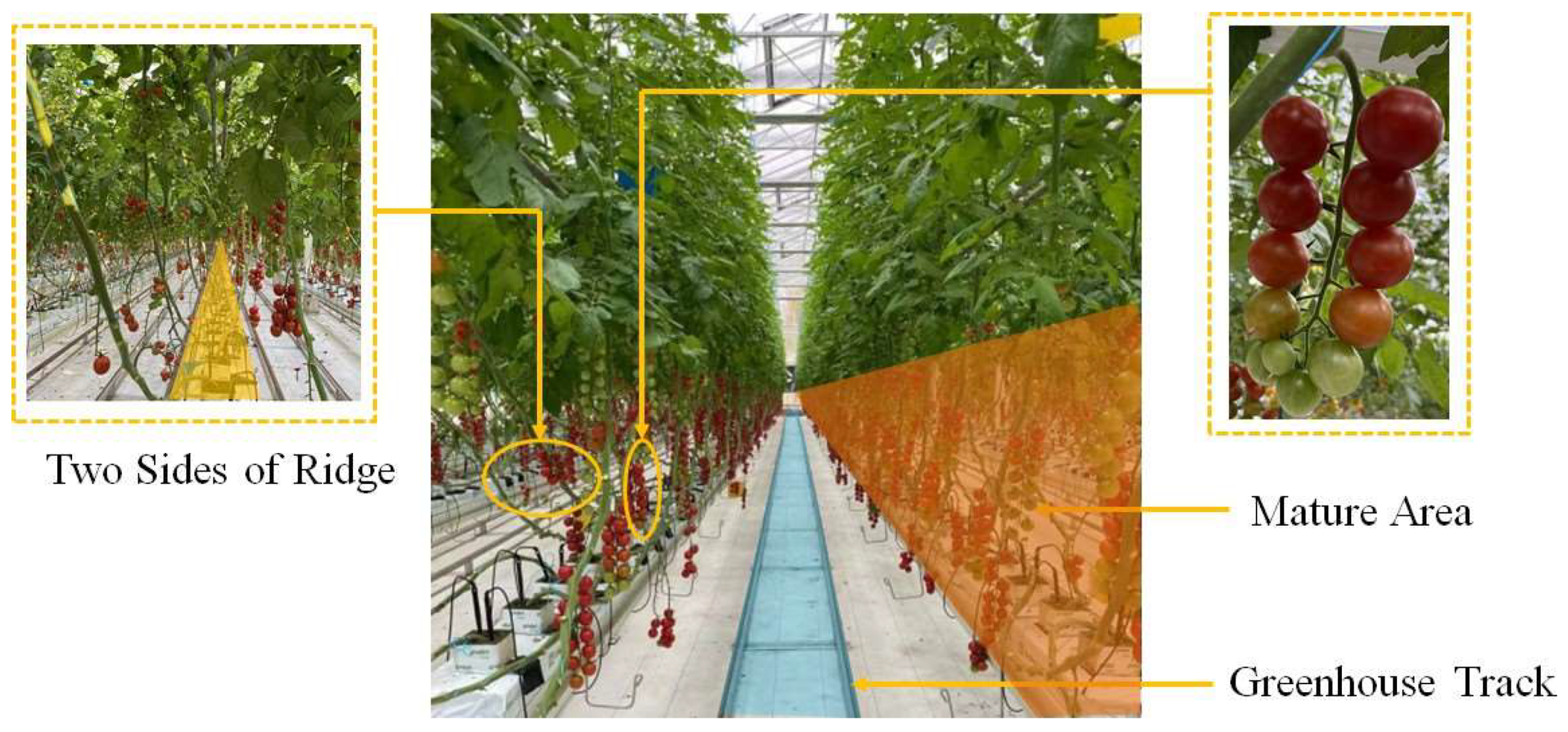 Preprints 151228 g001