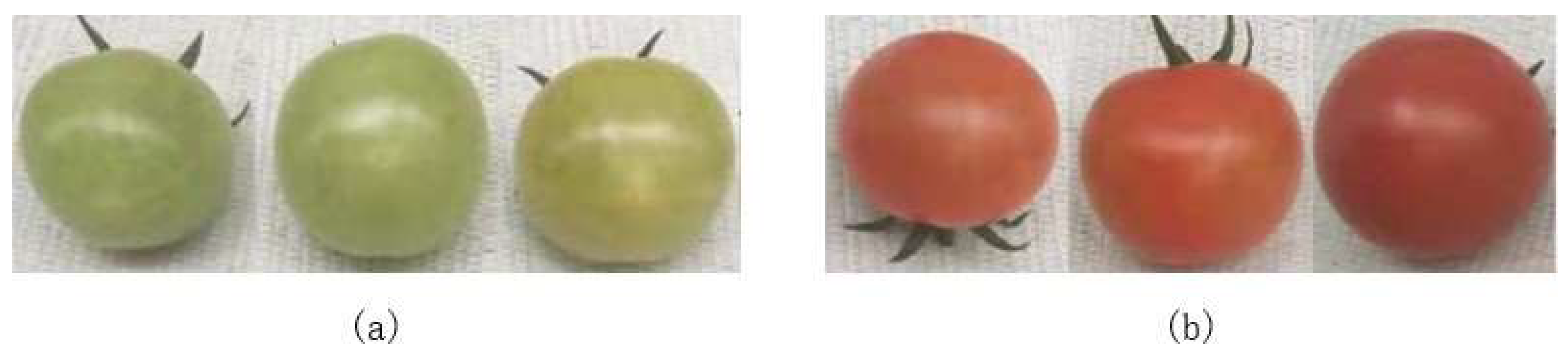 Preprints 151228 g002