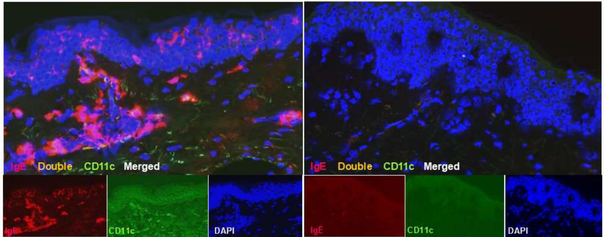 Preprints 211359 g001