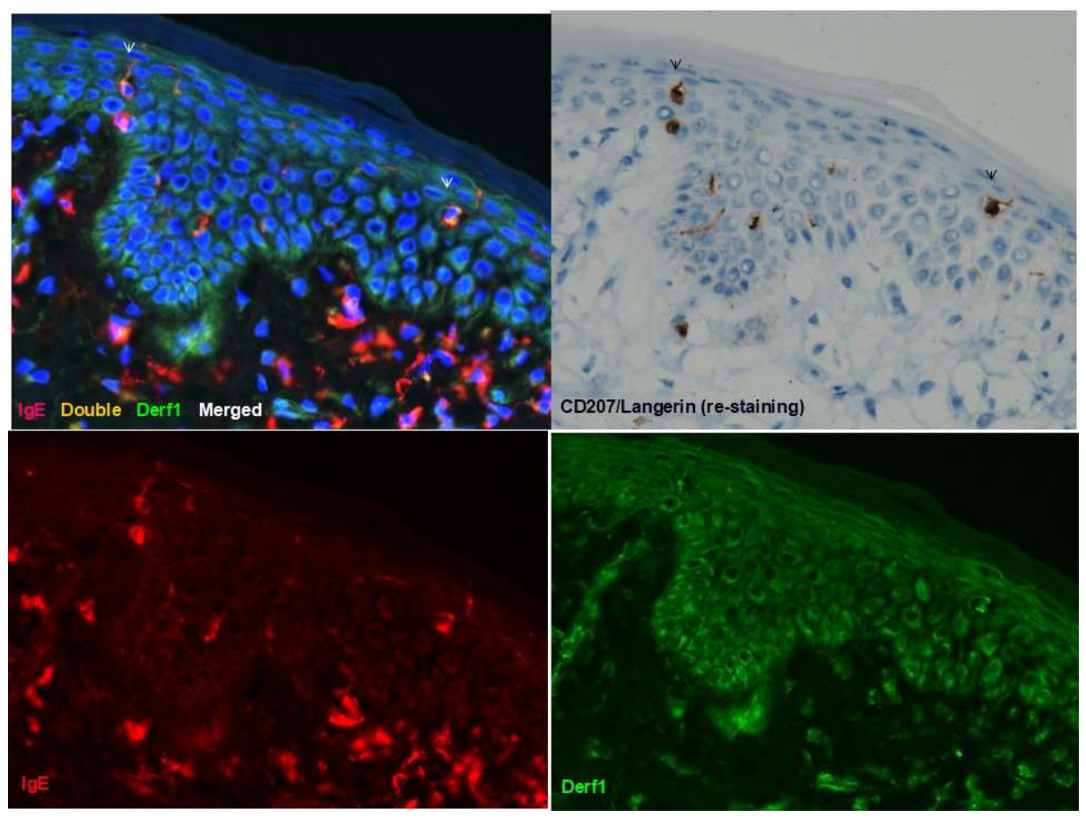 Preprints 211359 g002