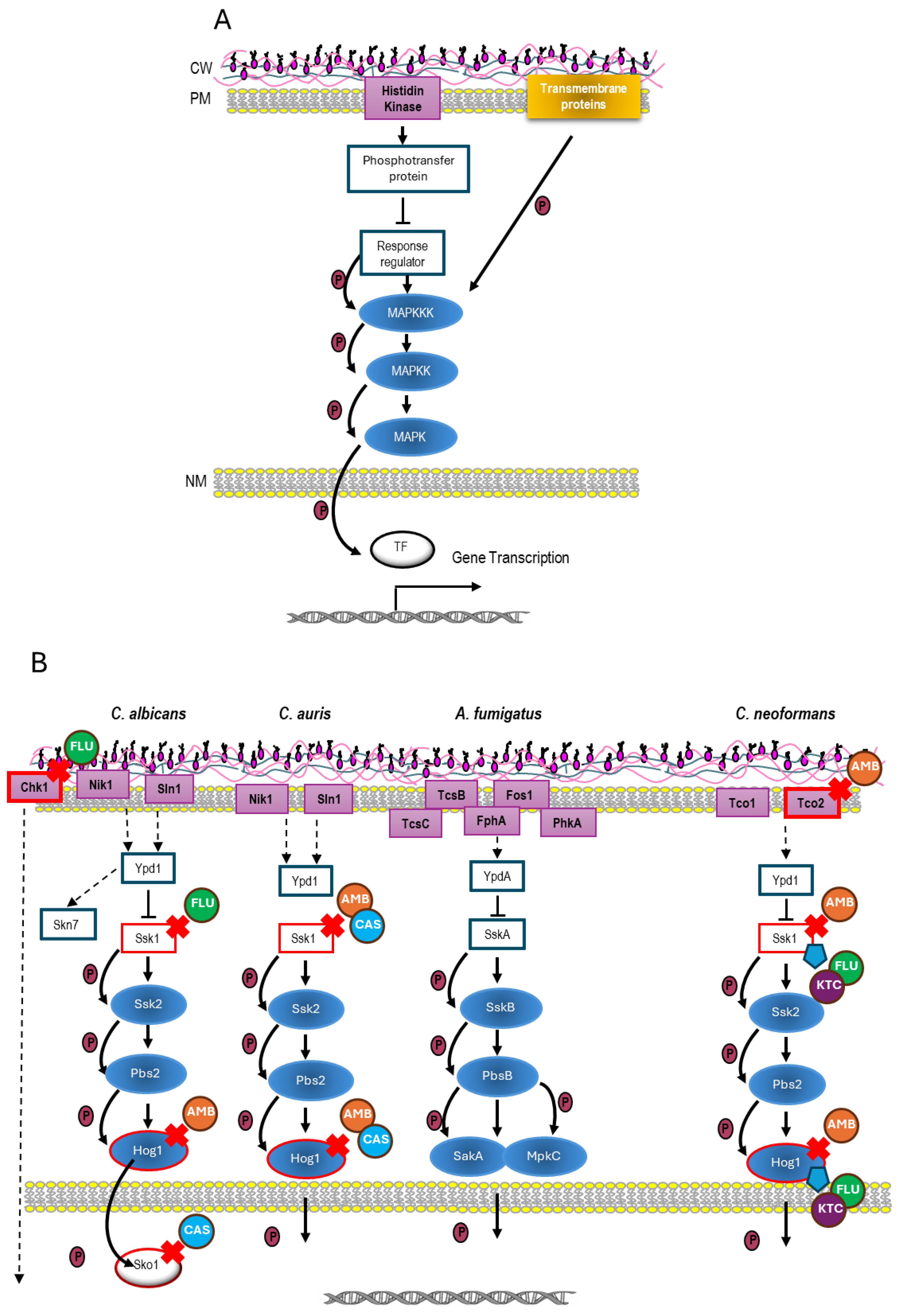 Preprints 195541 g001