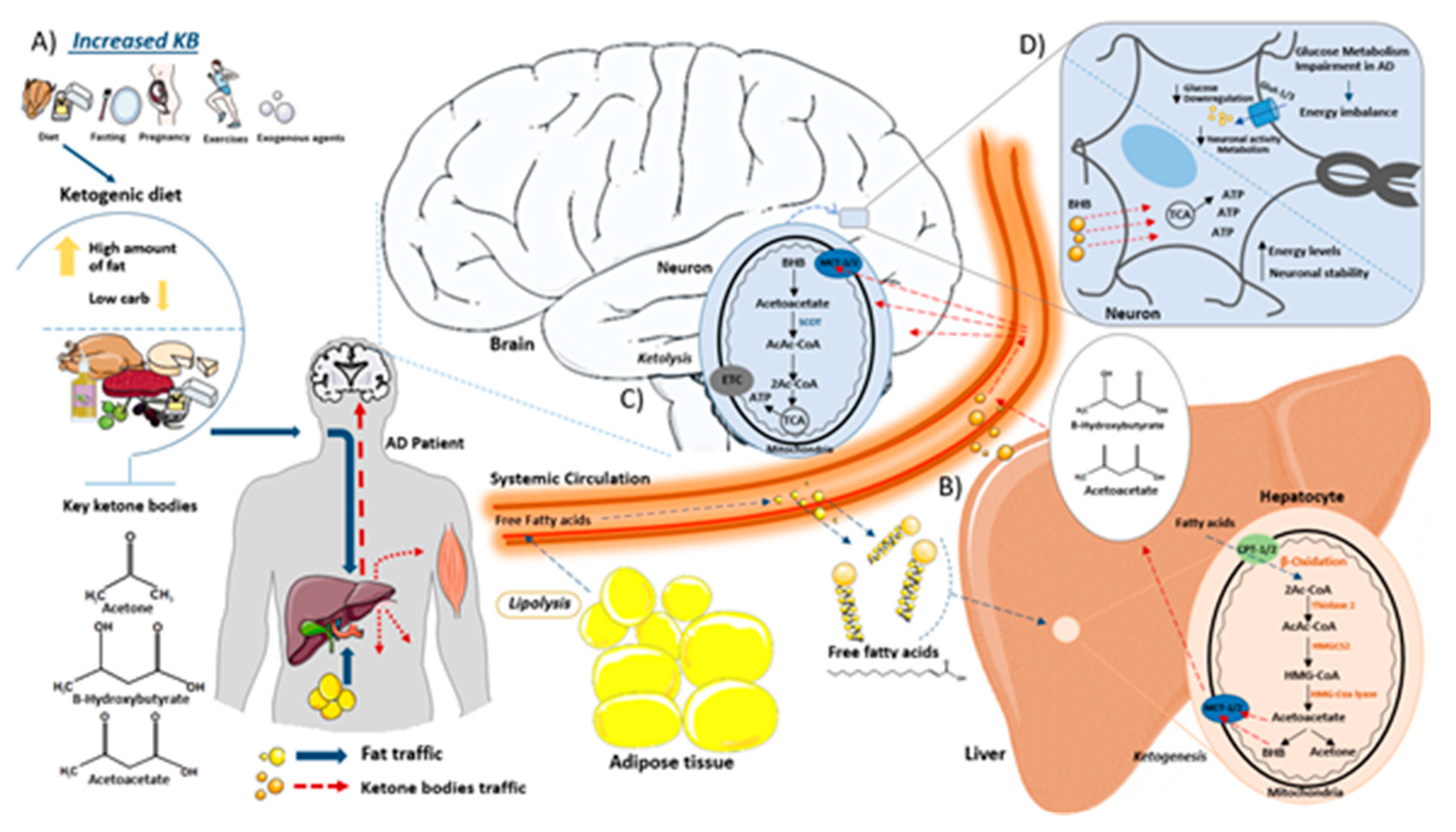 Preprints 91313 g001